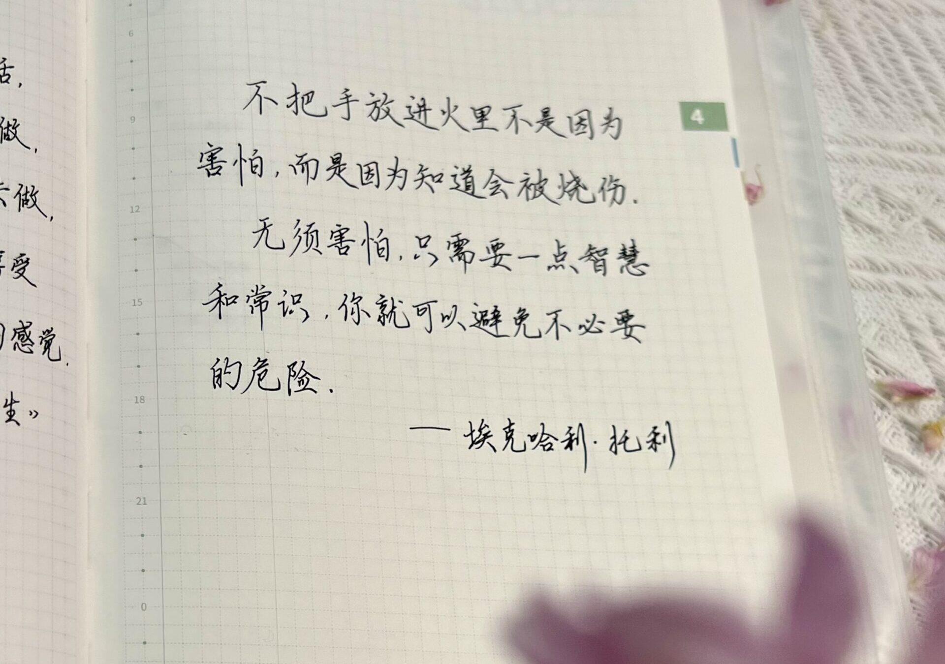 智慧就在手中✍：记录避免危险的日常策略📒