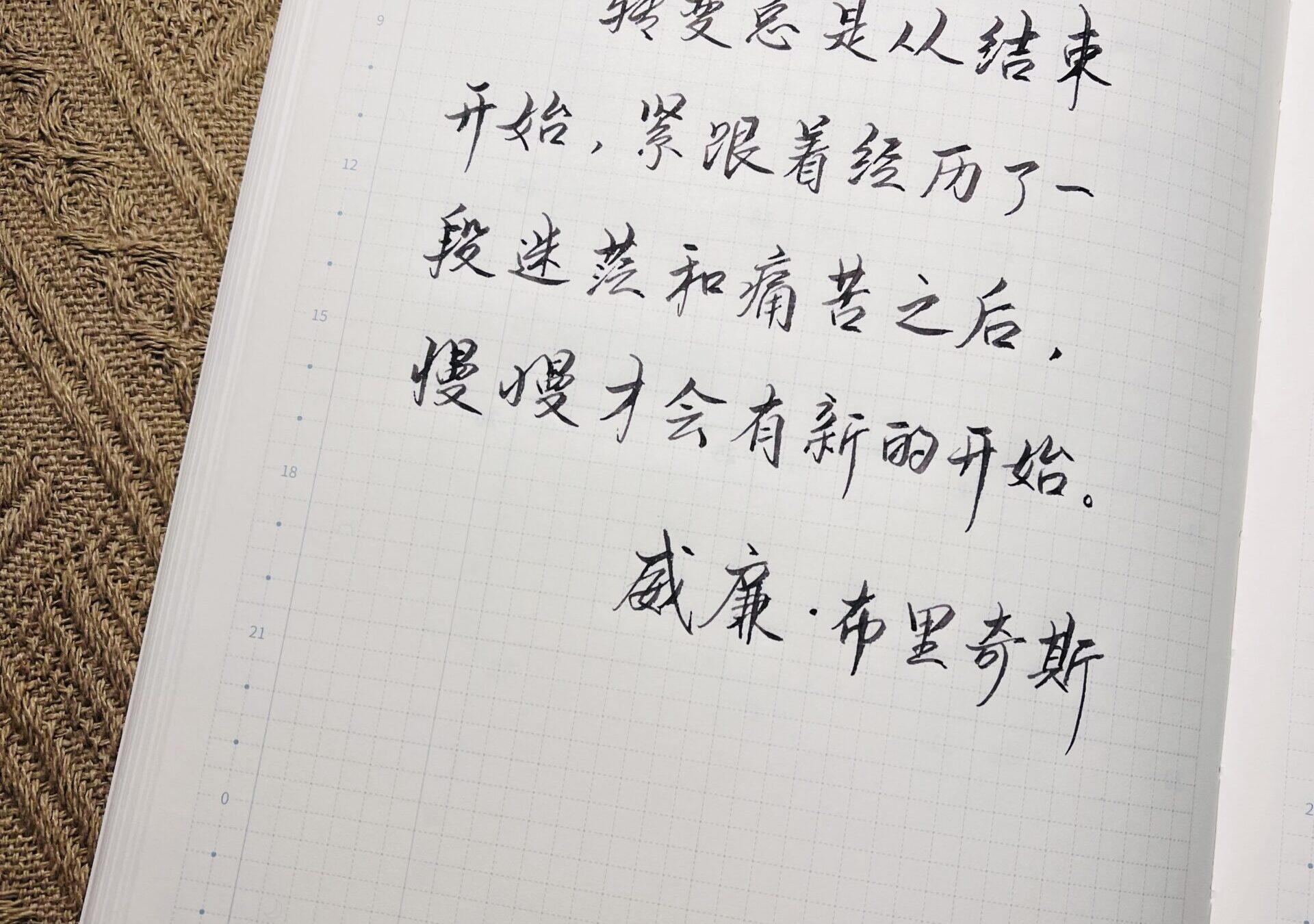 转变的脚步：手帐中悄悄绽放的生活智慧👣🌟