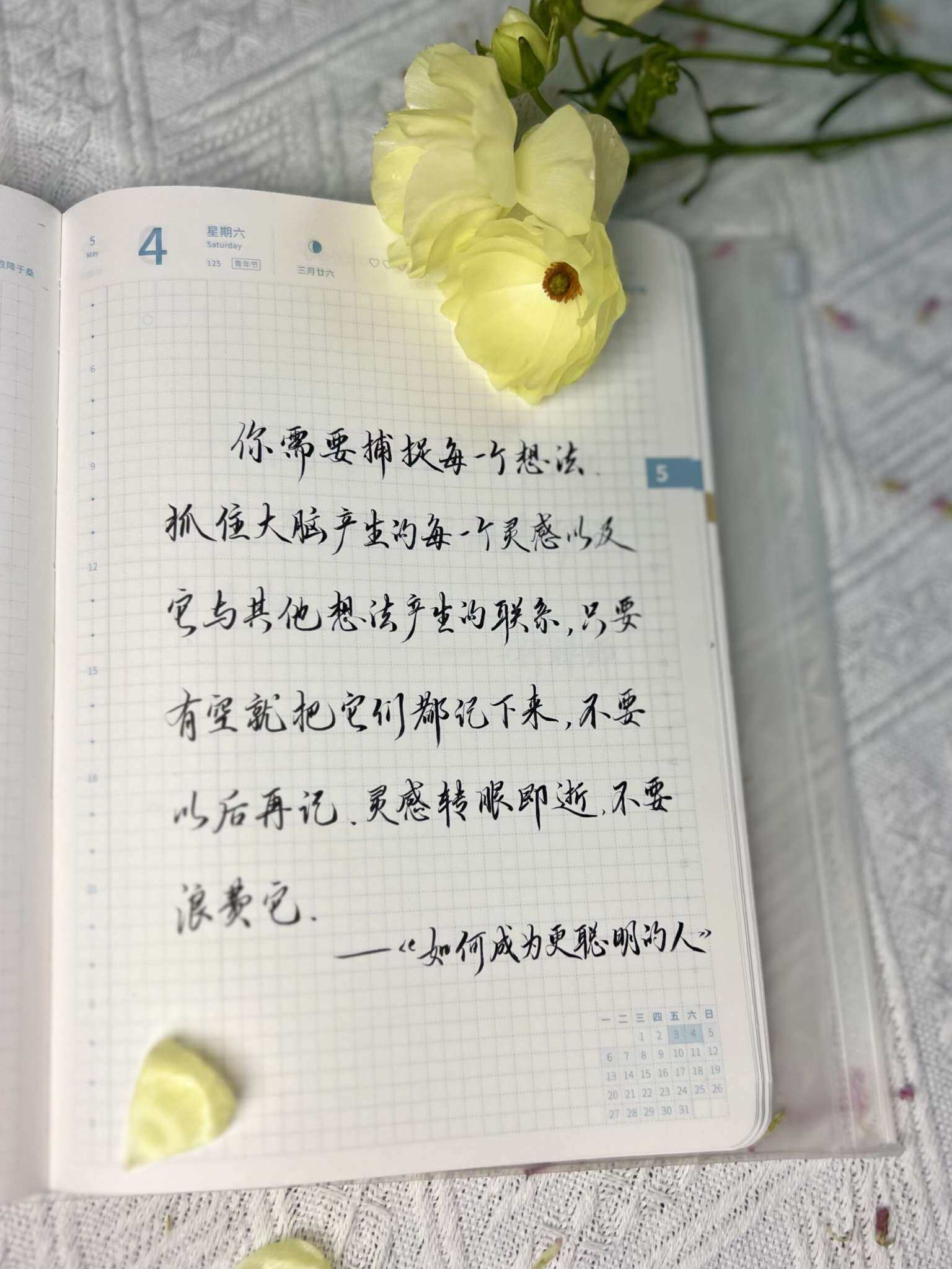 自在手帐2024年5月4日