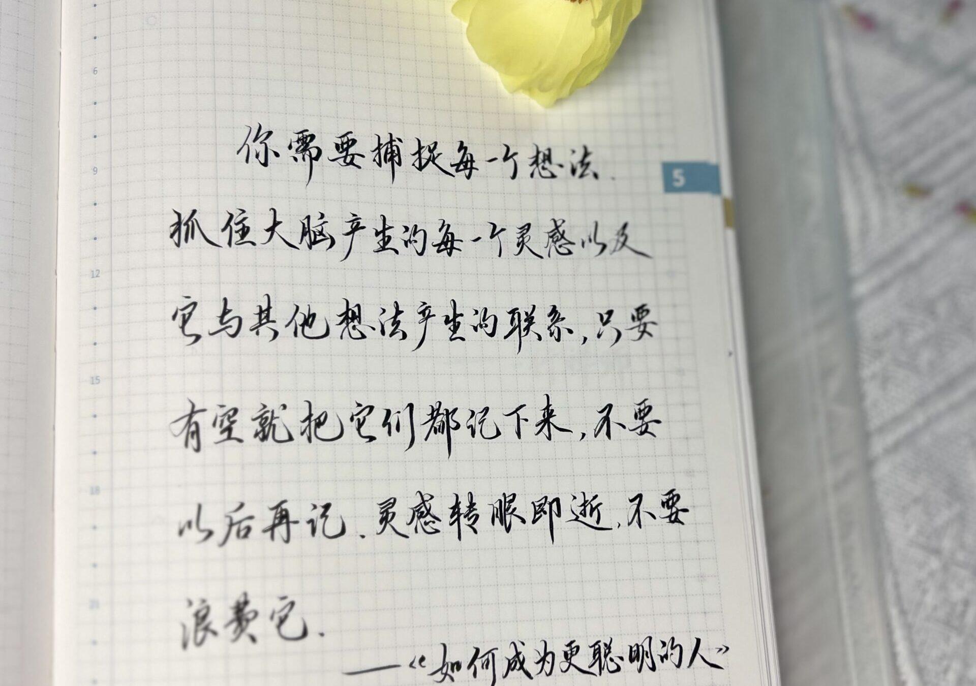 自在手帐2024年5月4日