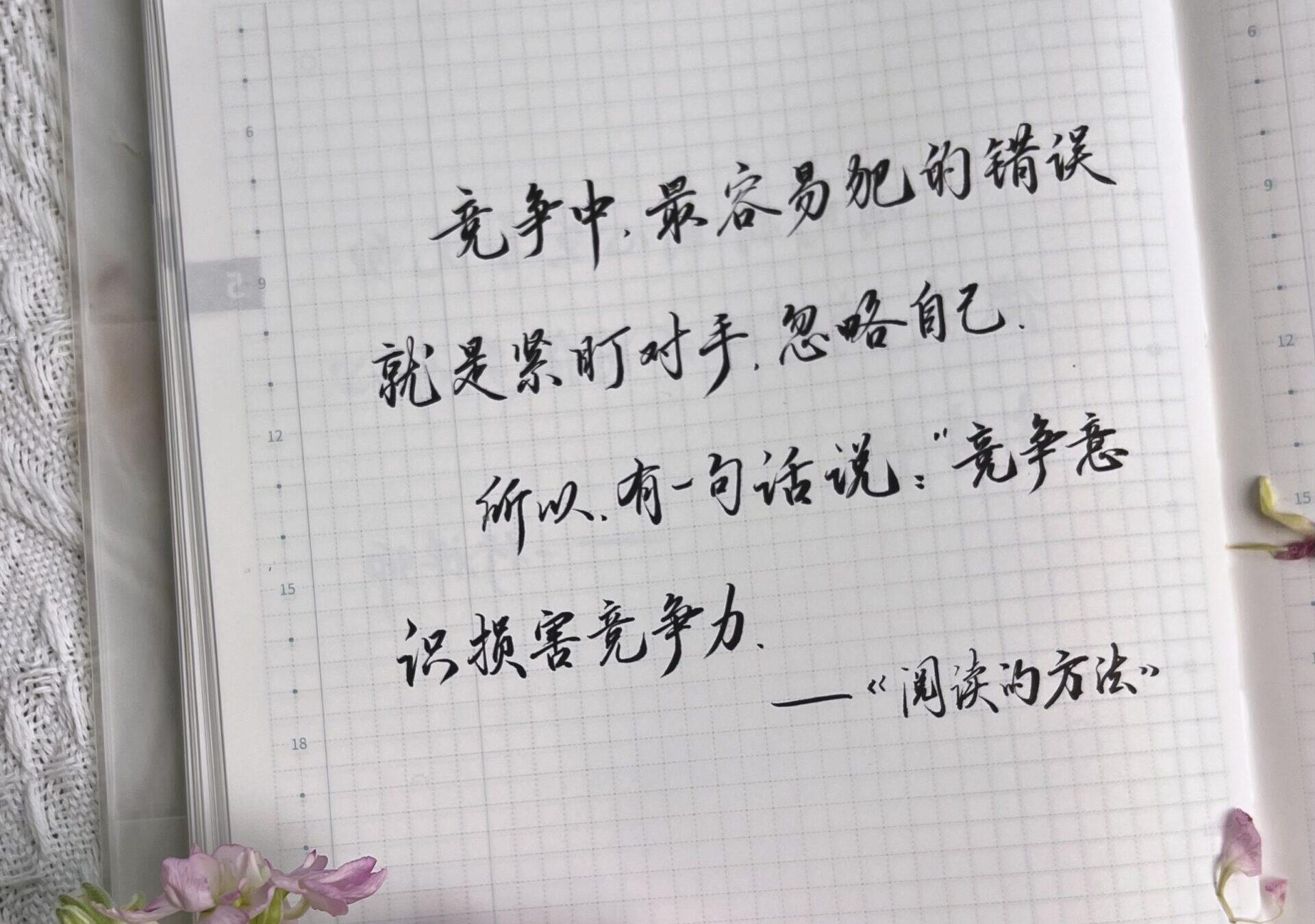 目标是我 ：手帐中记录自我成长，而非他人比较