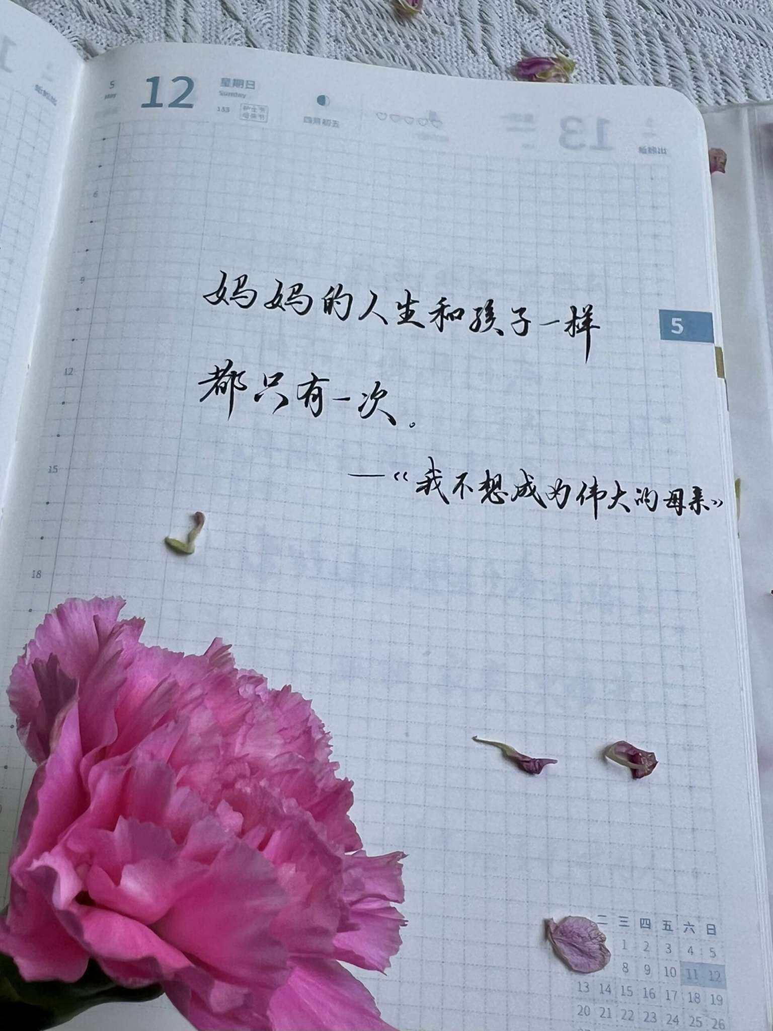 自在手帐2024年5月12日