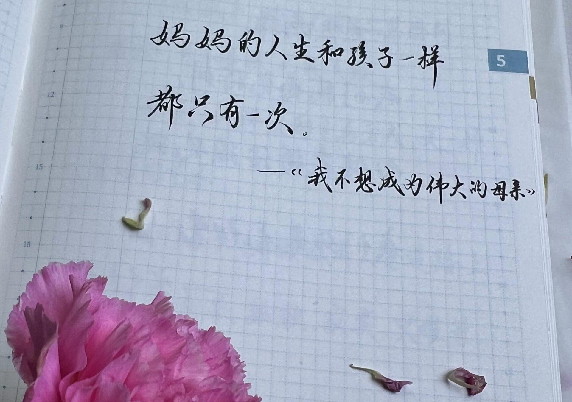 致敬母亲的单一而珍贵人生：记录感恩的心🌹📘