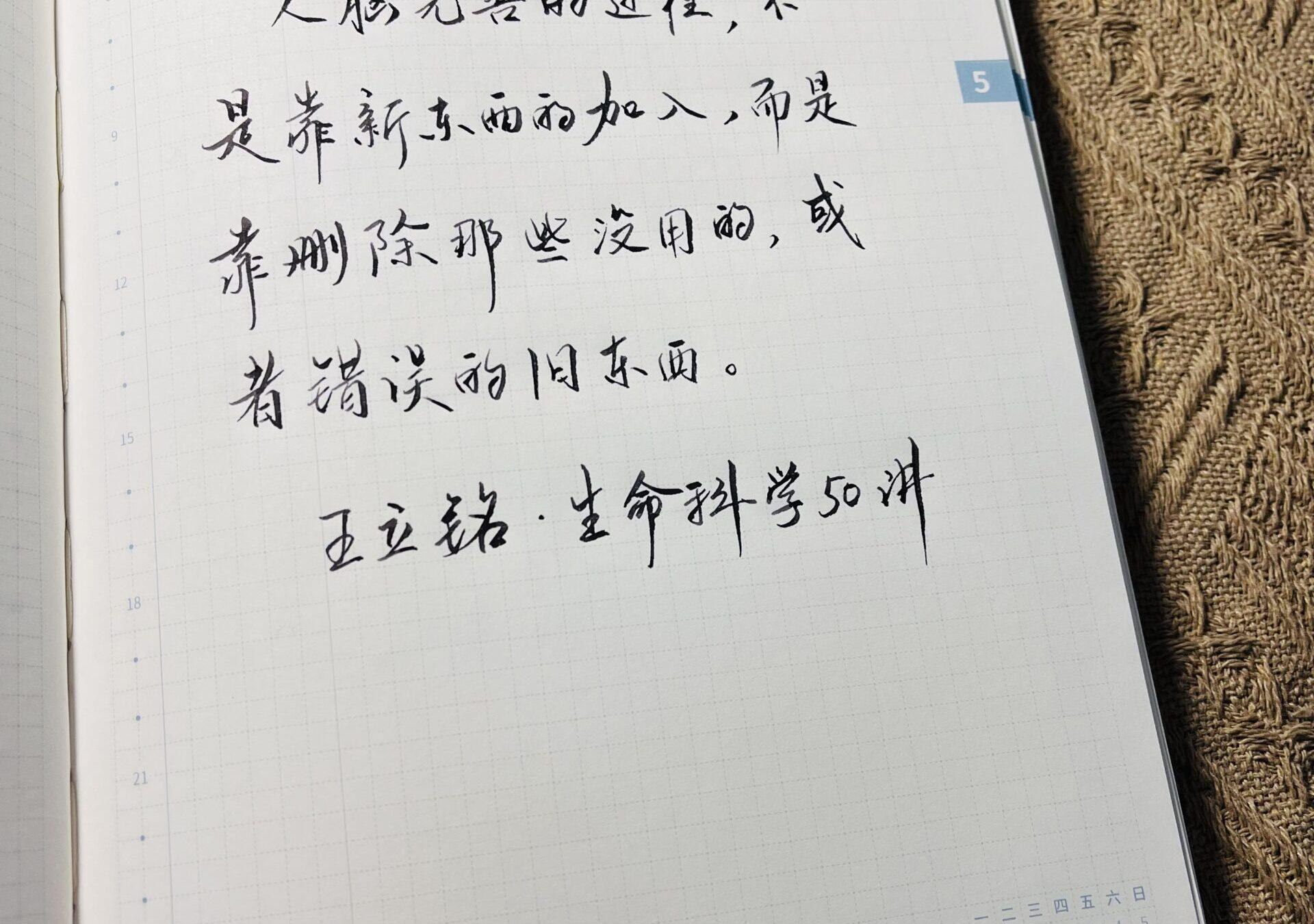 心智升级：手帐中的减法哲学📉🔍