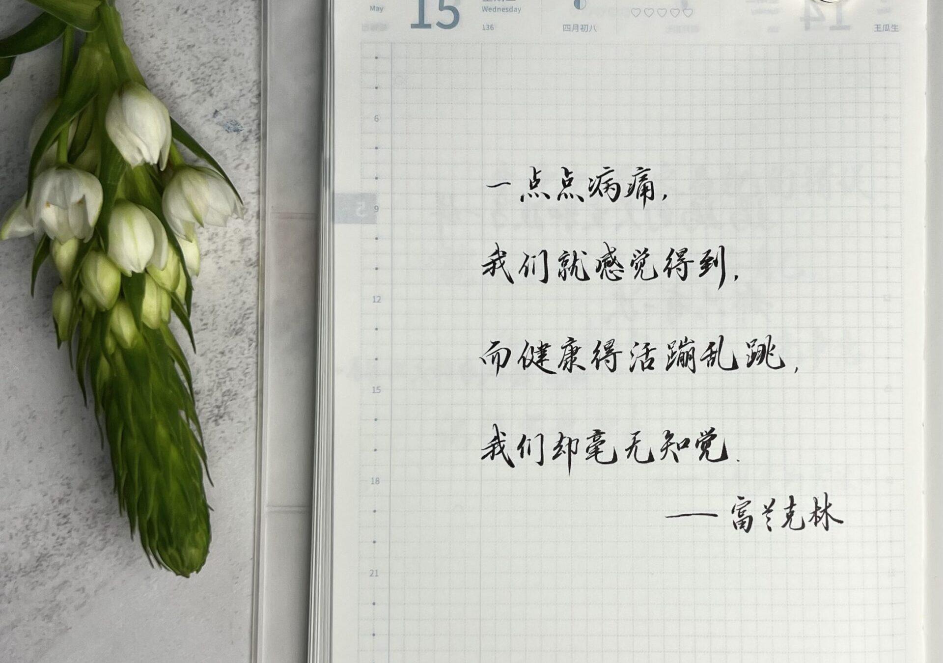 活力隐匿日常：用手帐让健康的感知跃然纸上🎨📖