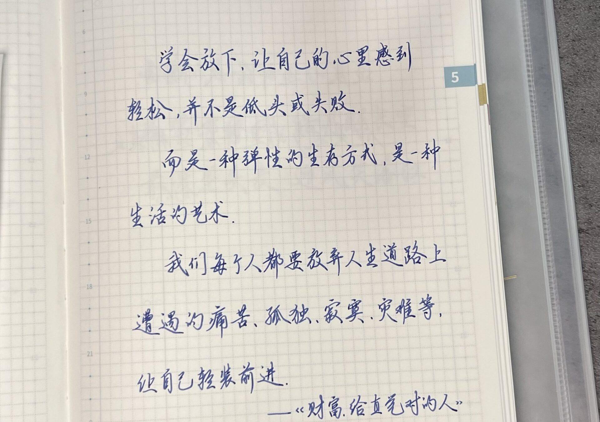 放弃是一种慧术：在手帐中练习放下痛苦🧘‍♀📖
