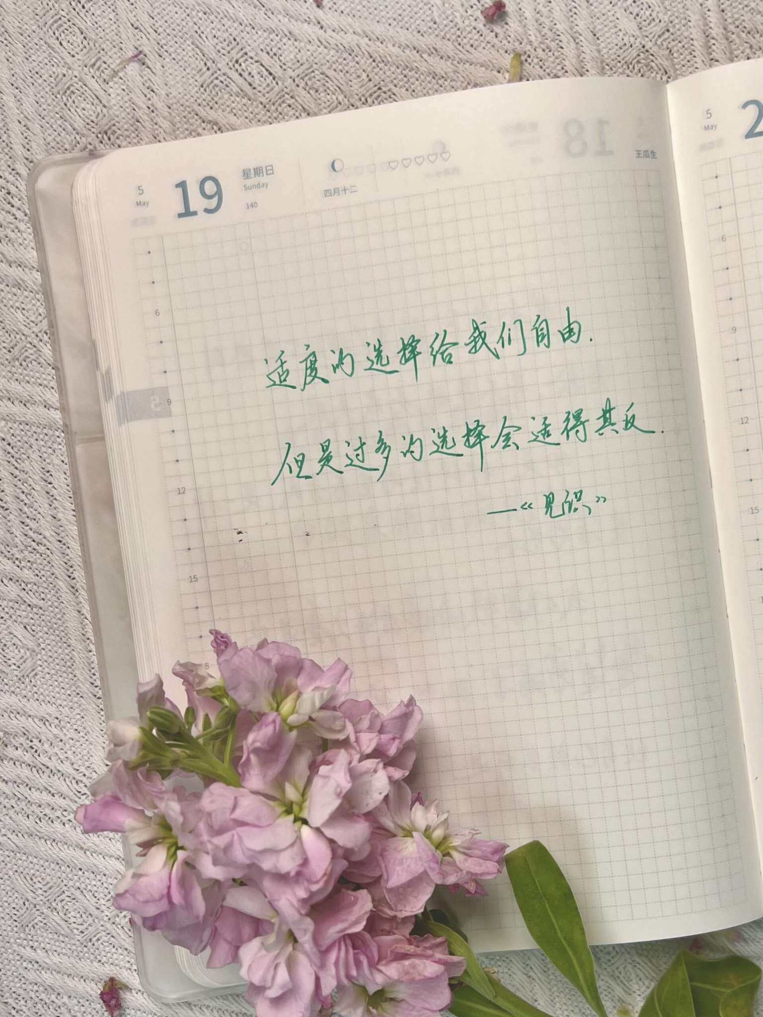自在手帐2024年5月19日