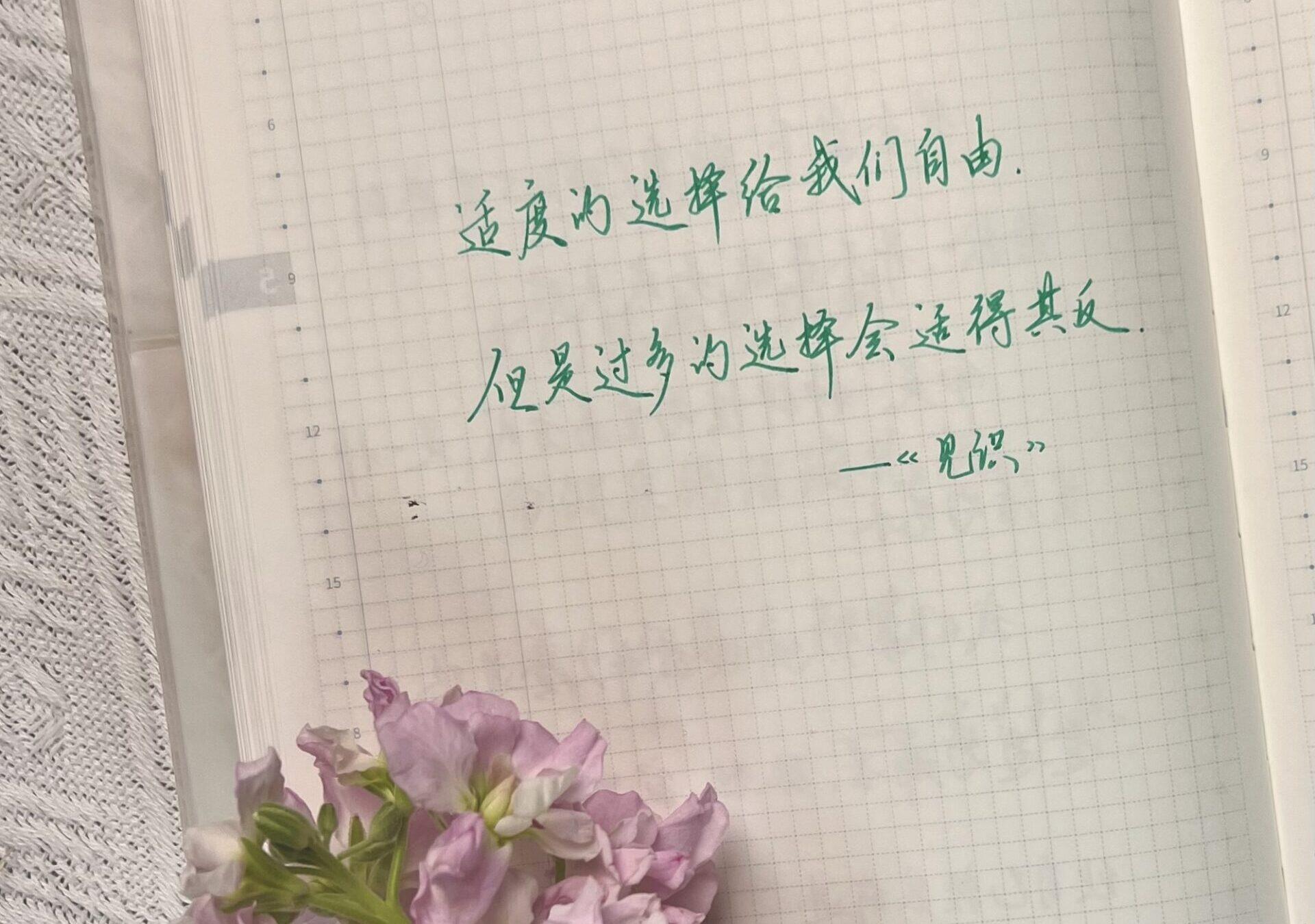 自在手帐2024年5月19日