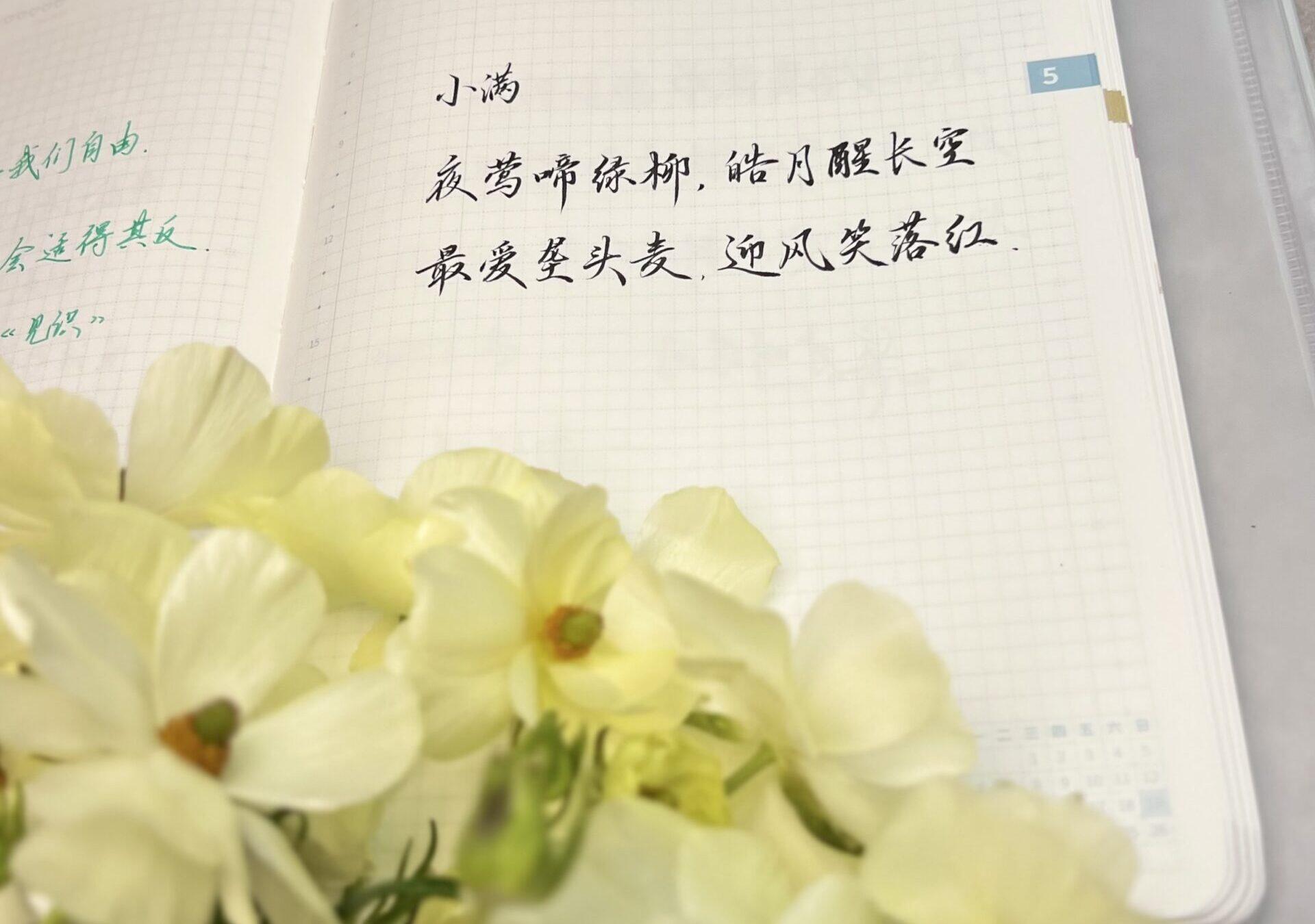 小满|二十四节气|甲辰年