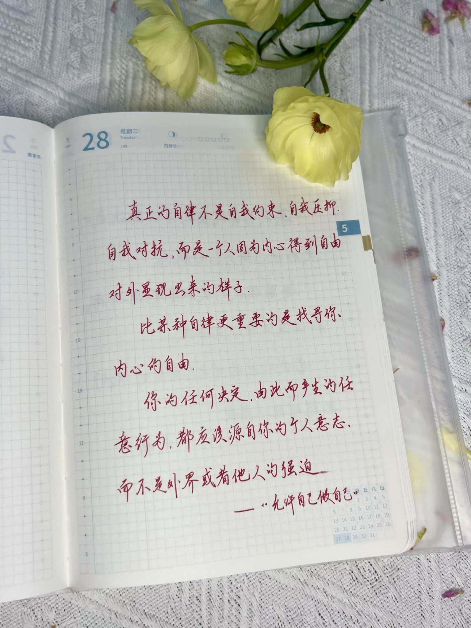 自在手帐2024年5月28日