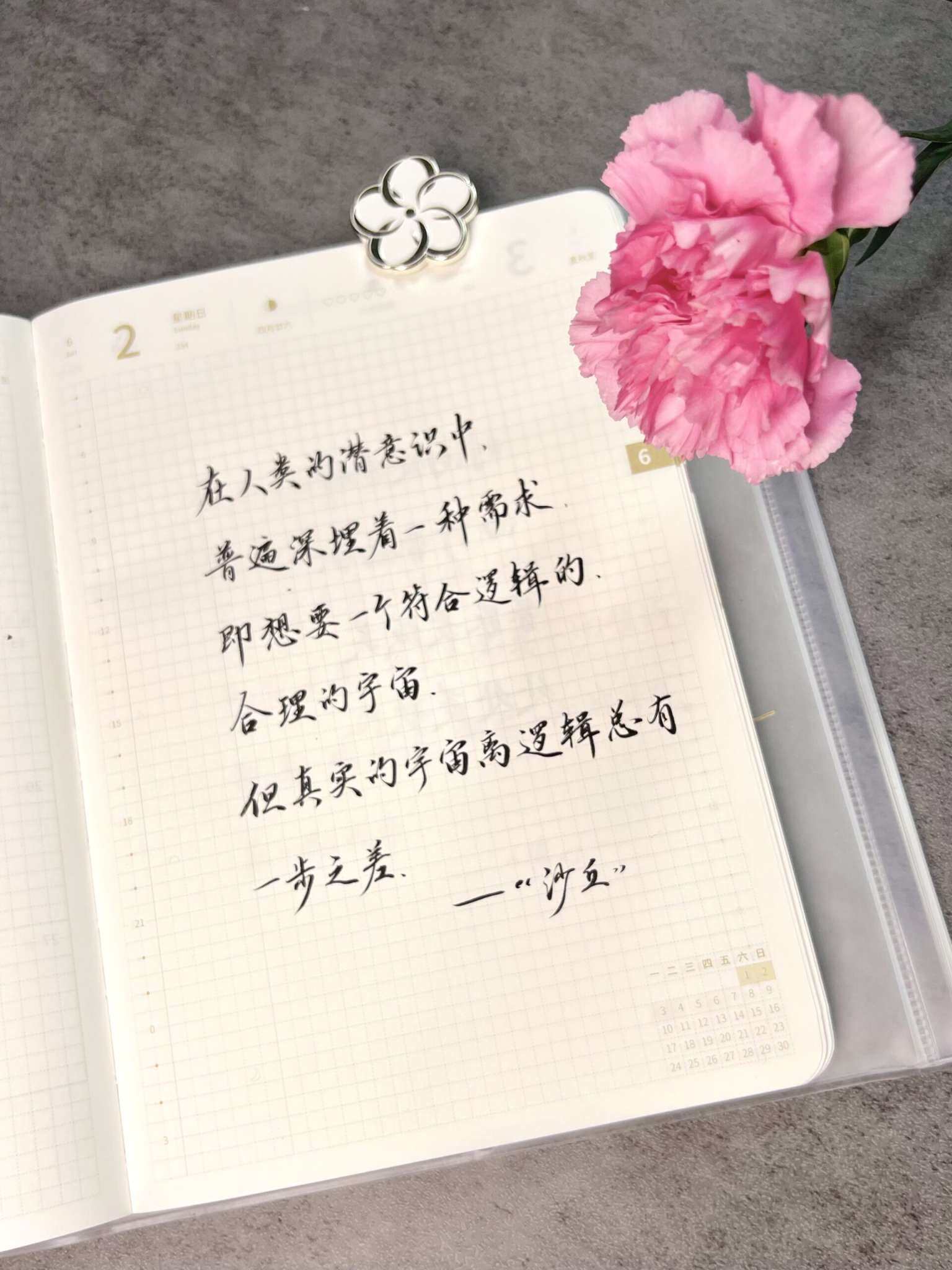 自在手帐2024年6月2日