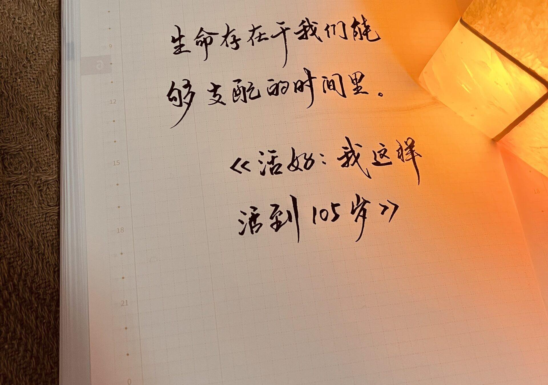 时间的艺术：手帐中珍惜每分每秒的生活🎨⏰