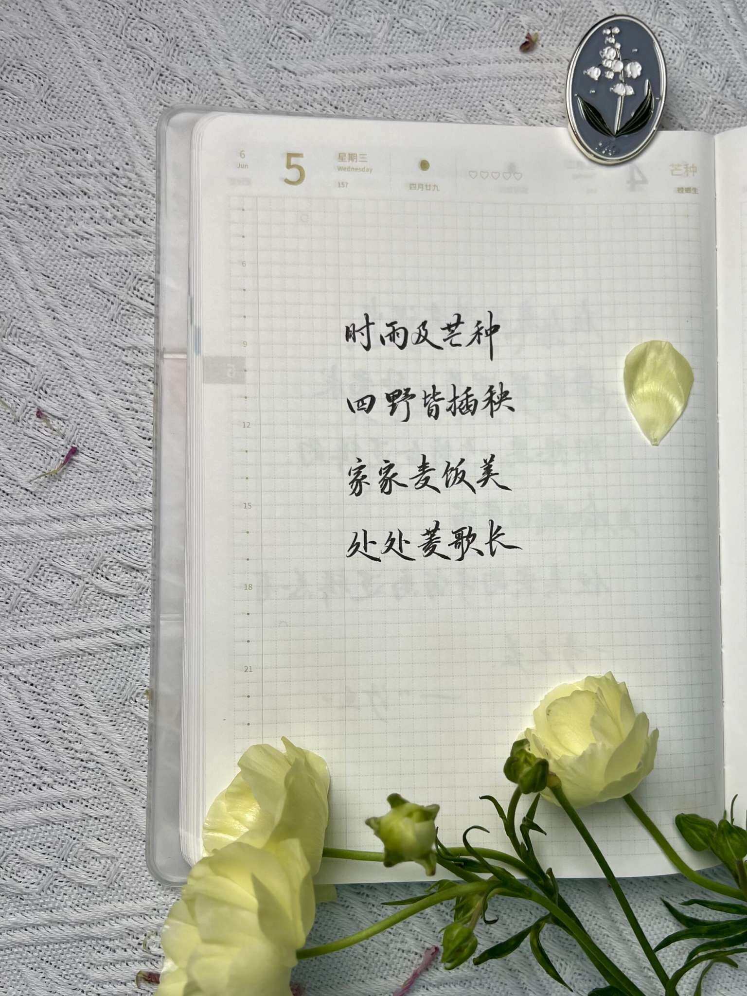 自在手帐2024年6月5日