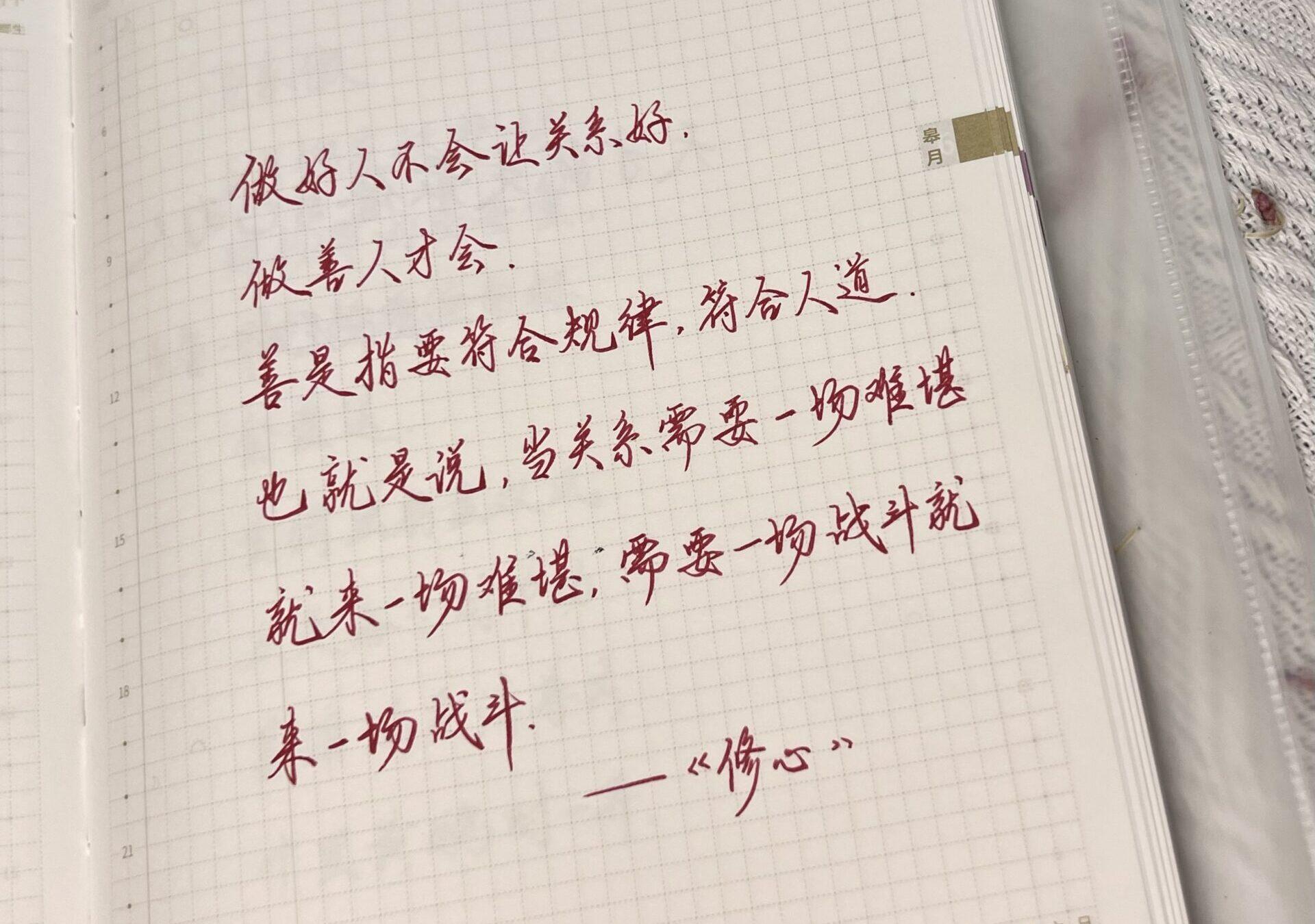 善的艺术：用手帐发现关系中的规律与人道✨