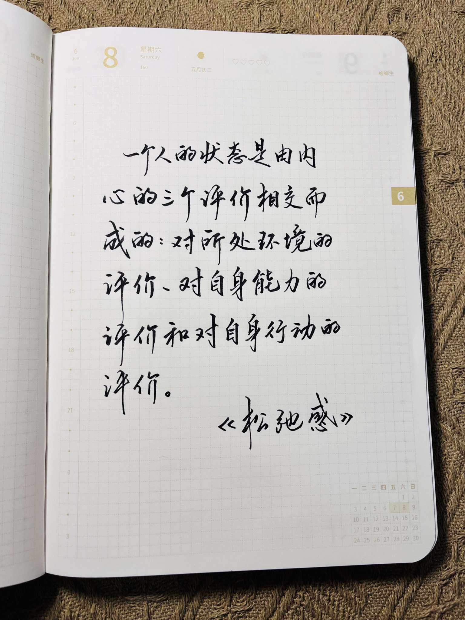 自在手帐2024年6月8日
