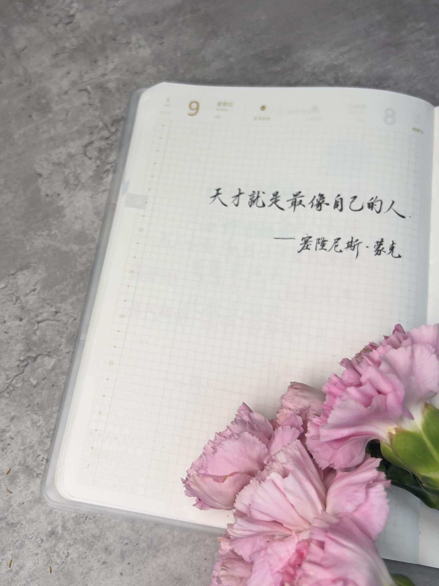 自在手帐2024年6月9日