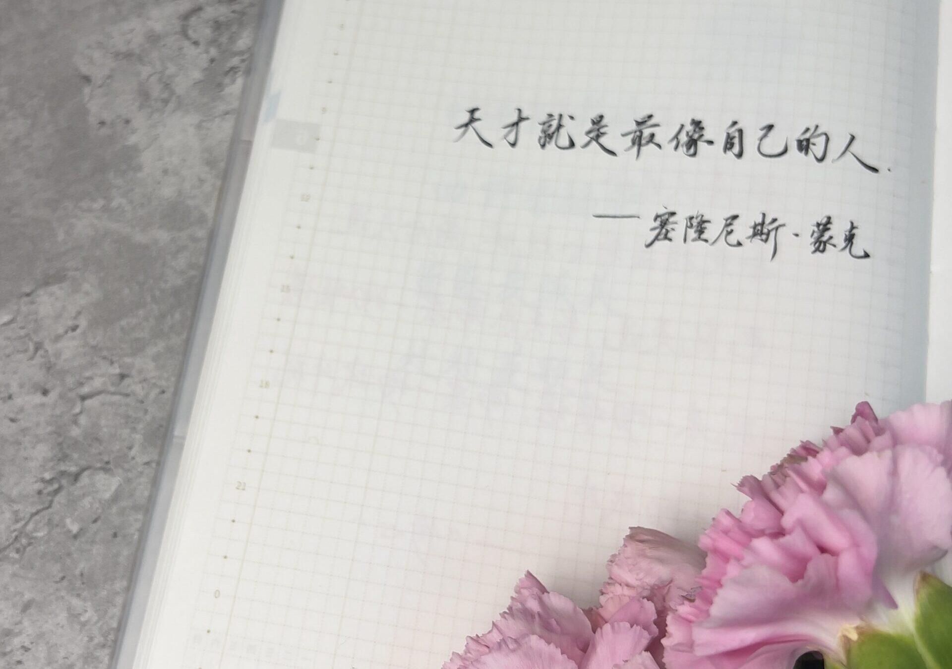 天才的秘密：勇敢做自己的手帐记录📖💡