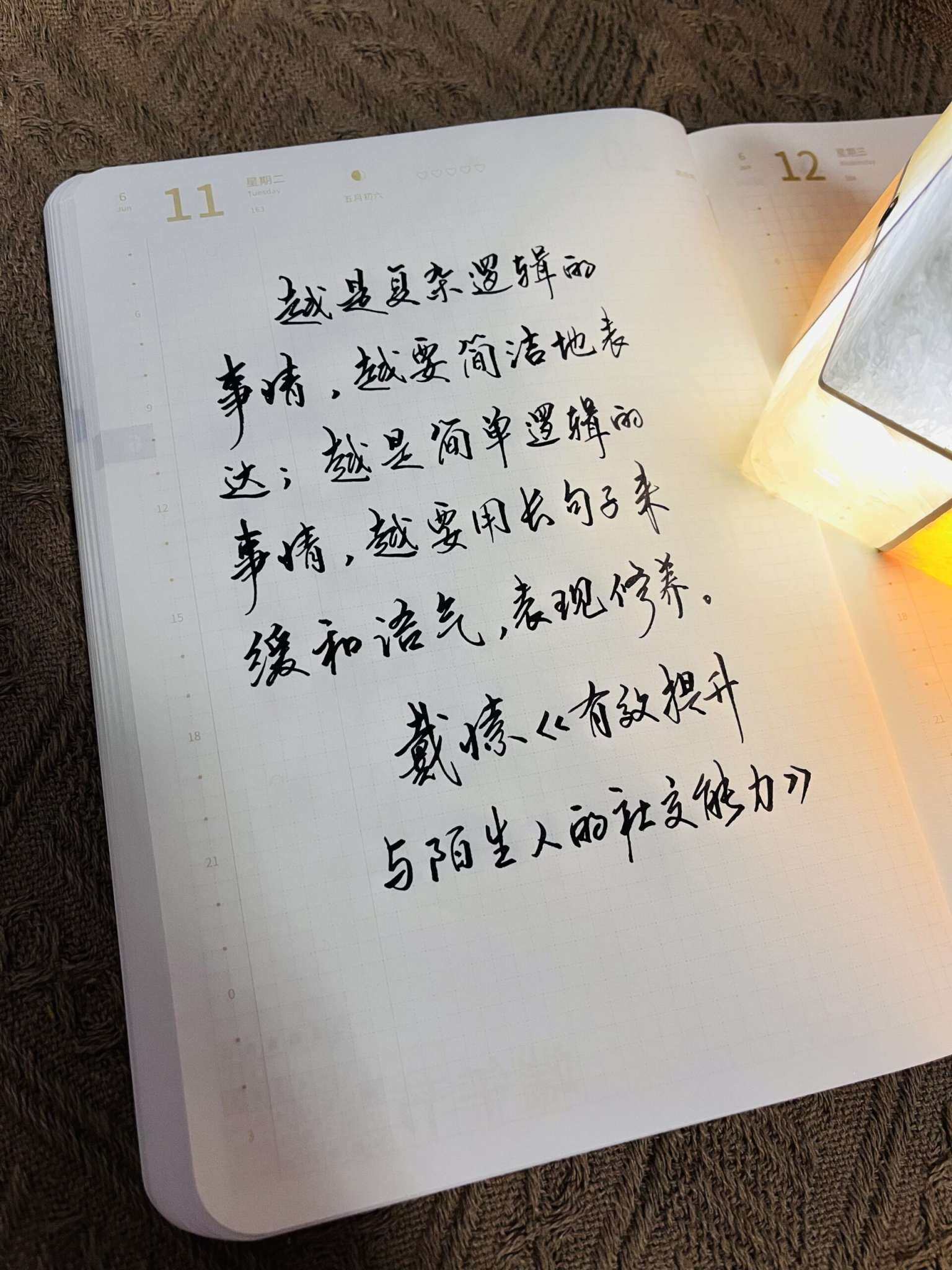 自在手帐2024年6月11日