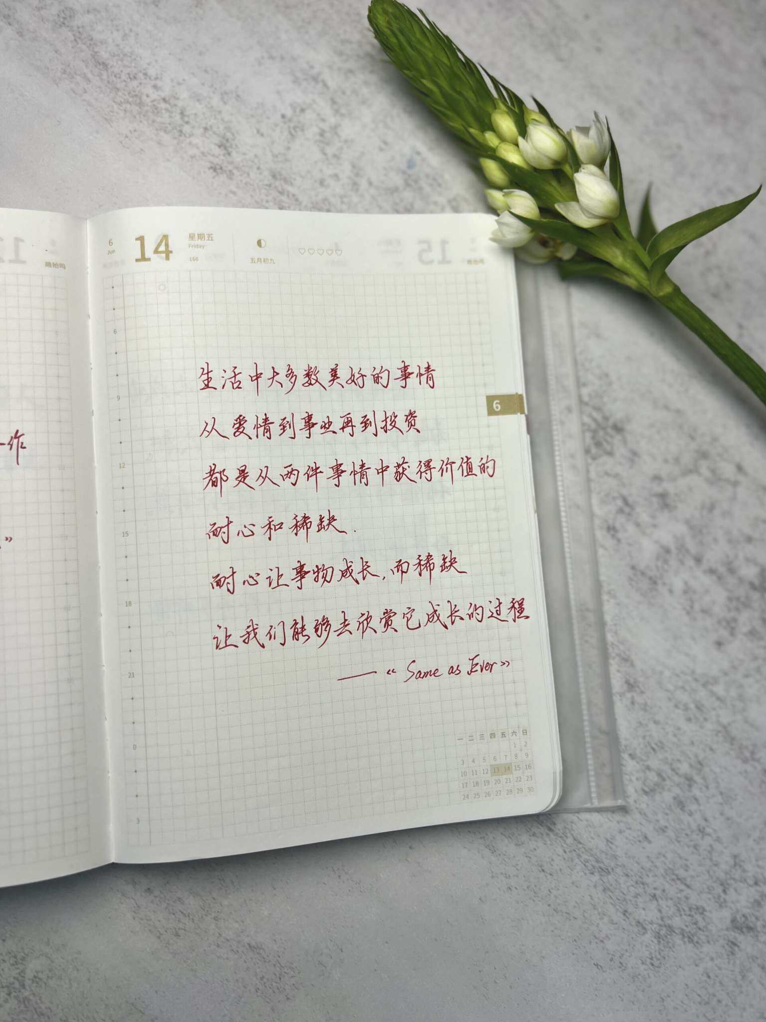 自在手帐2024年6月14日