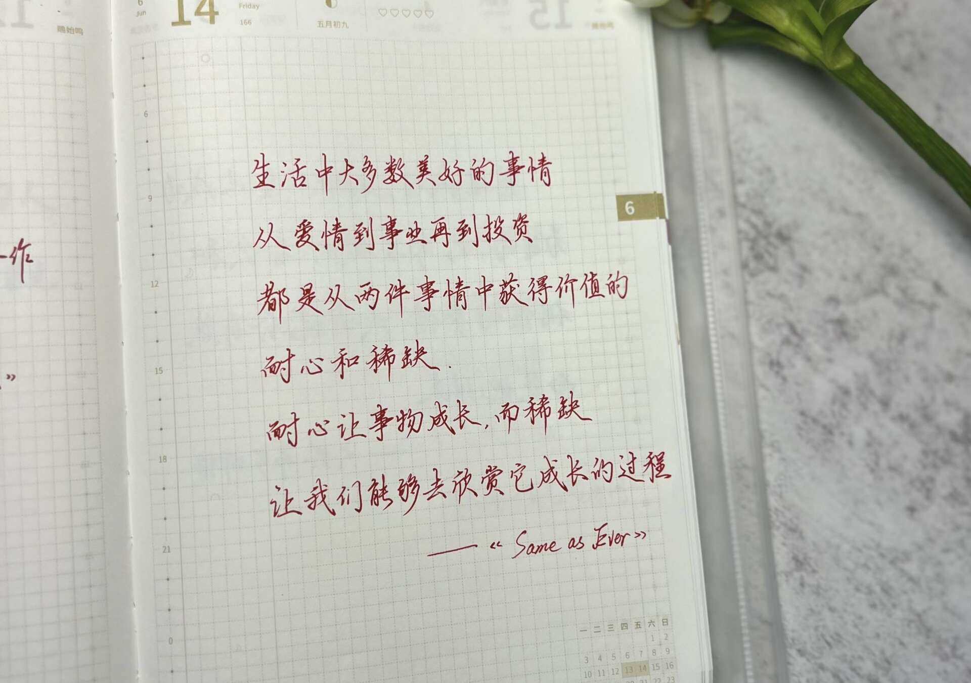 自在手帐2024年6月14日