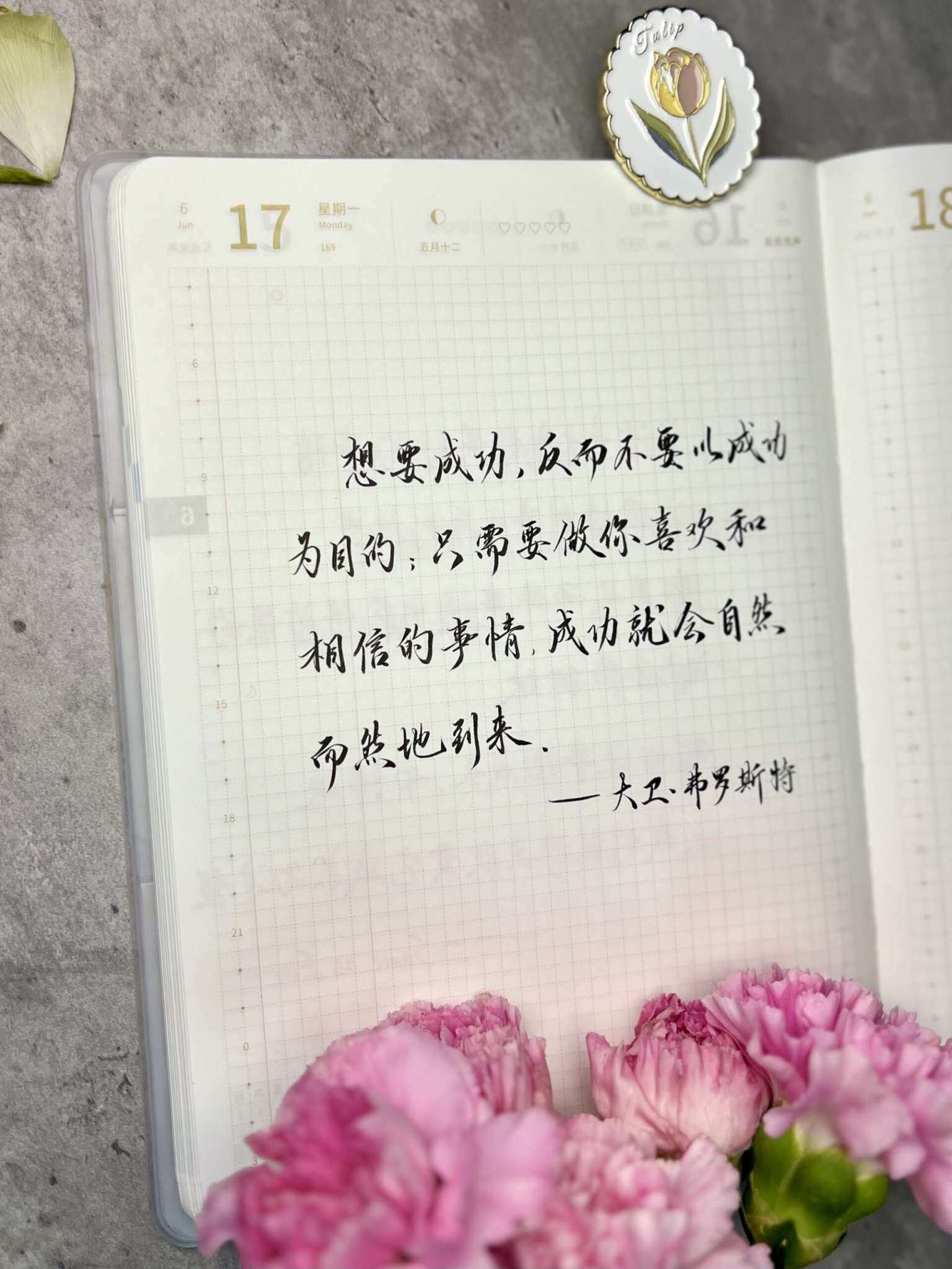 自在手帐2024年6月17日