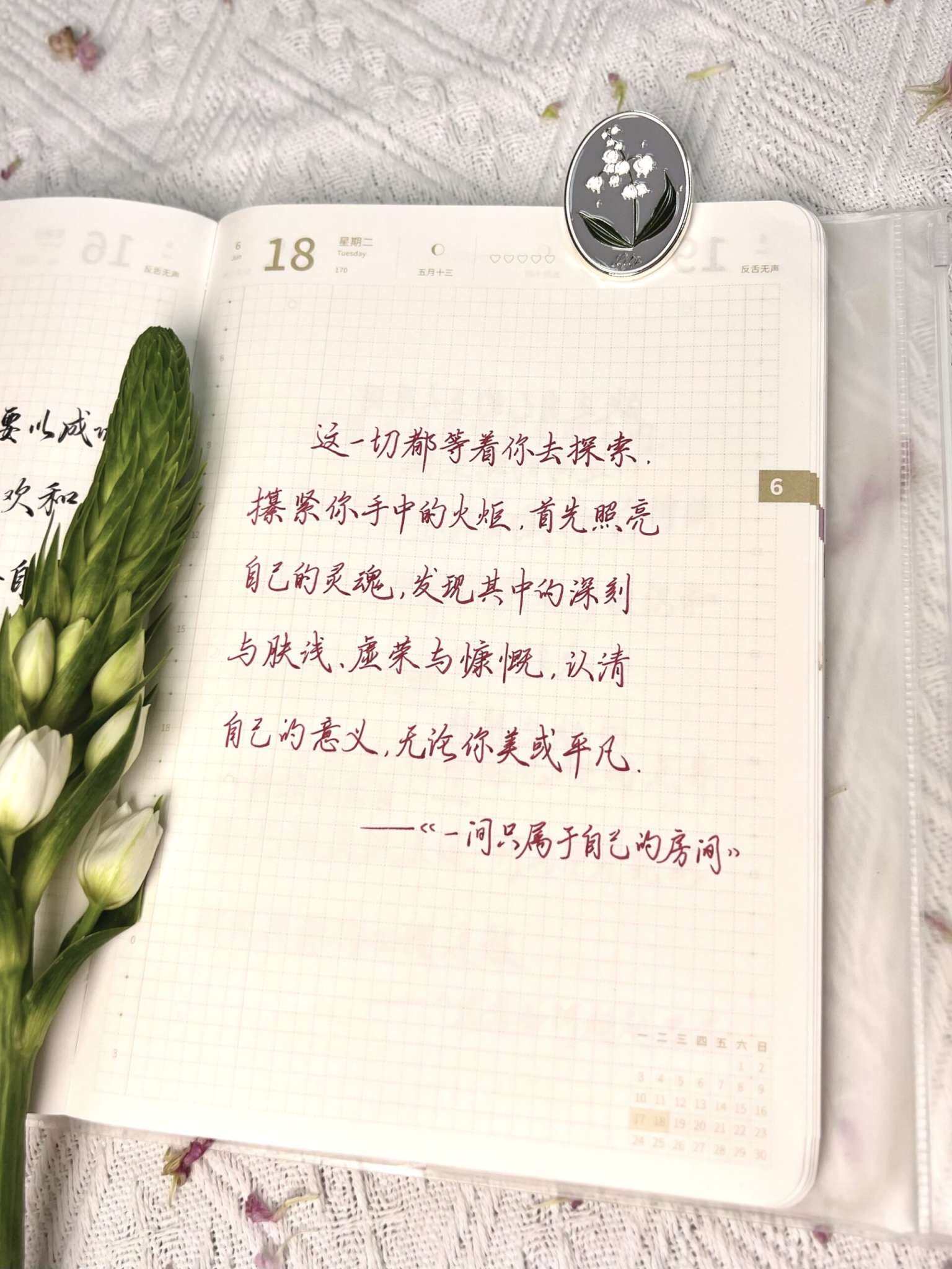 自在手帐2024年6月18日