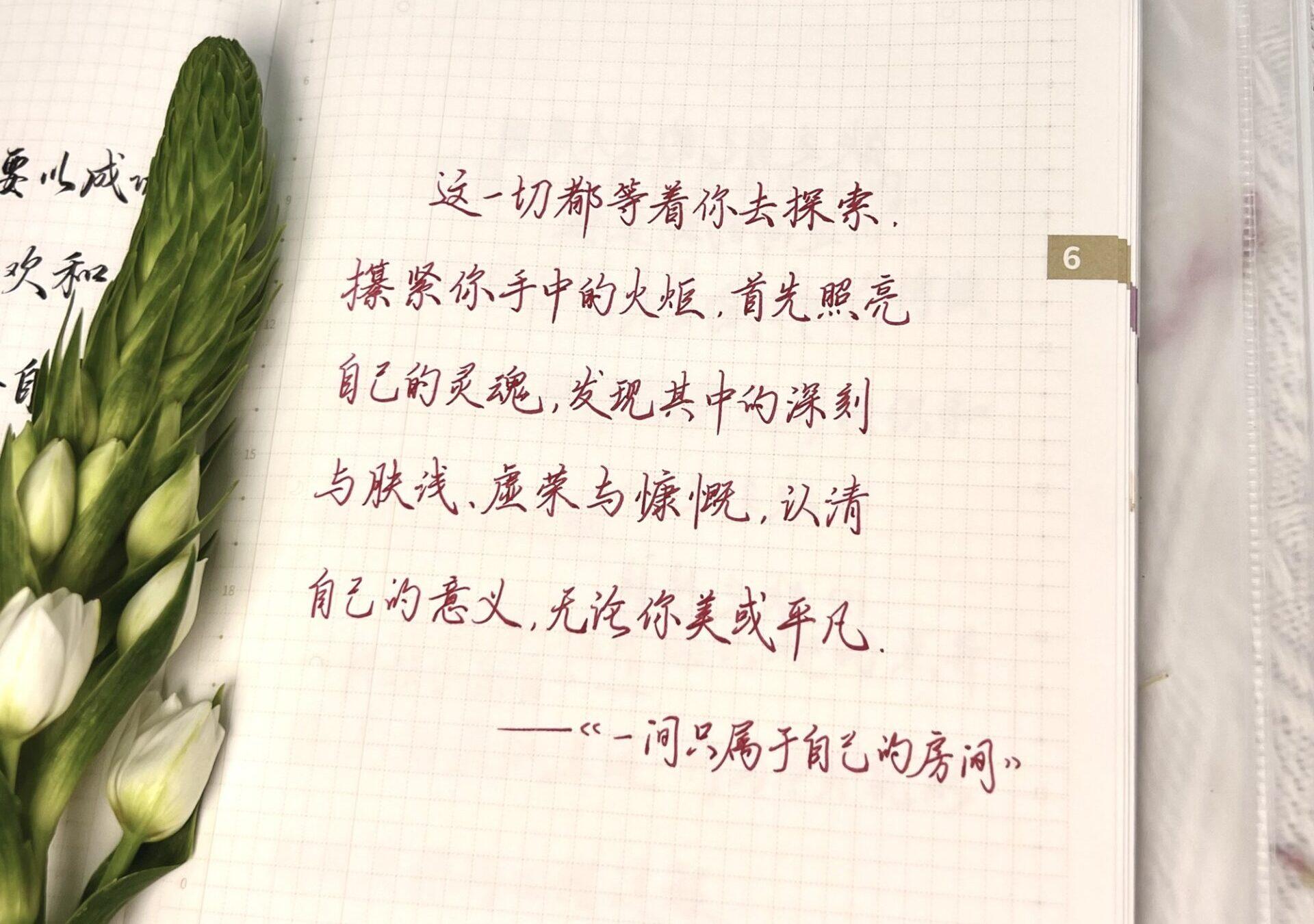 自我认知：手帐记载悟出生命的意义