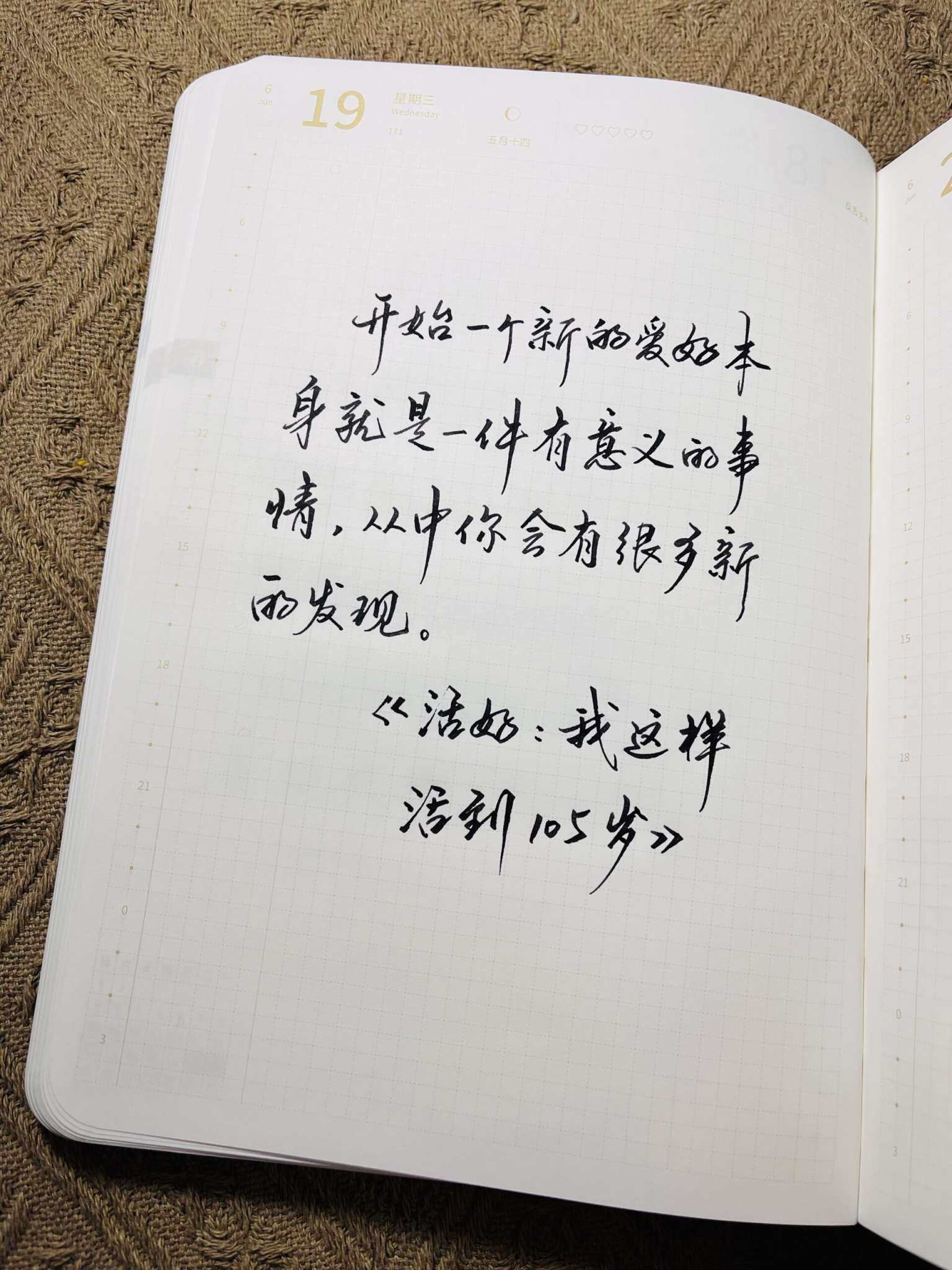 自在手帐2024年6月19日