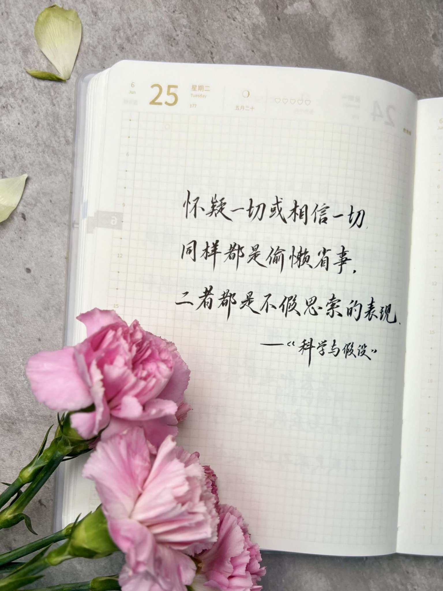 自在手帐2024年6月25日