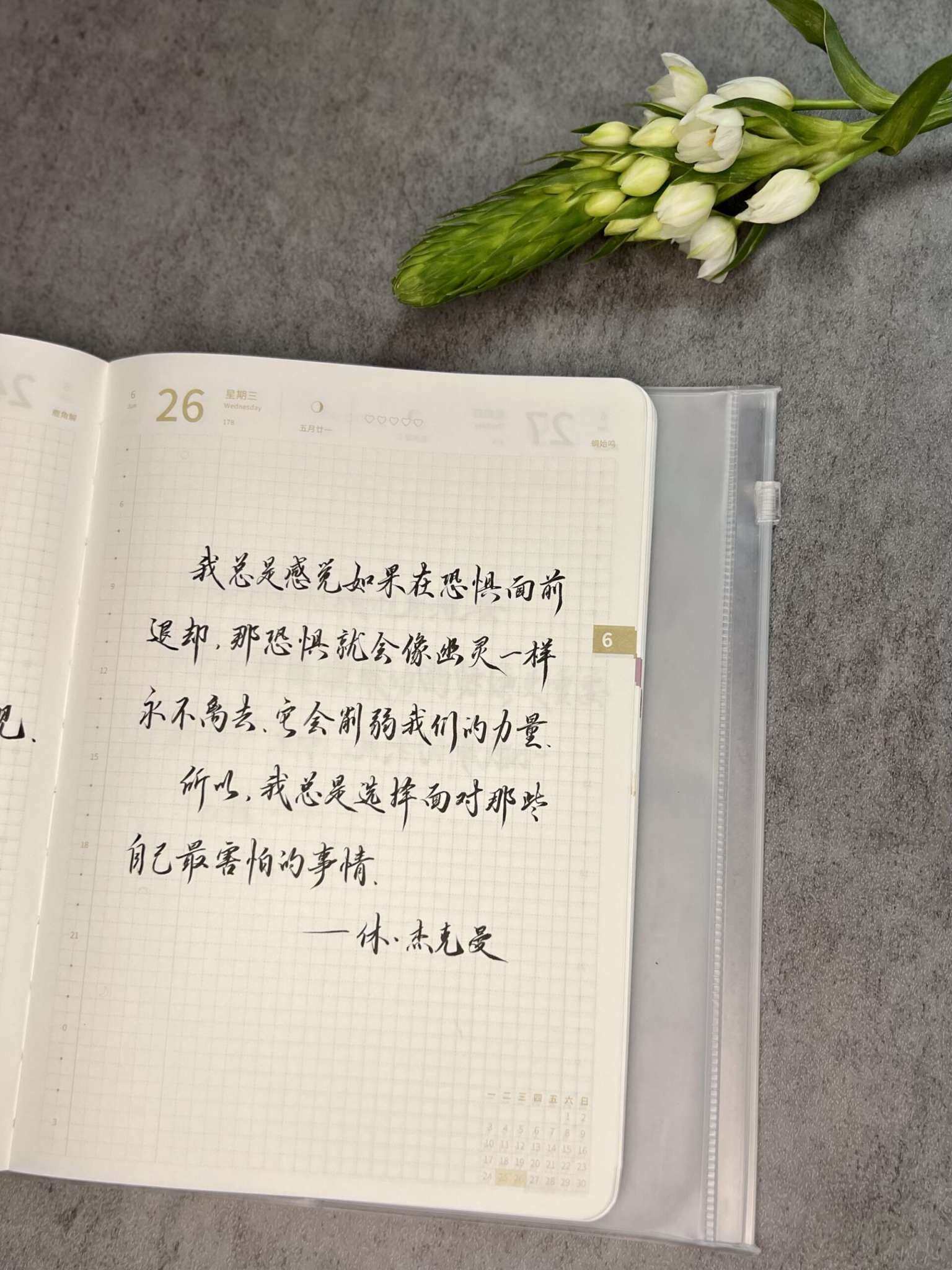自在手帐2024年6月26日
