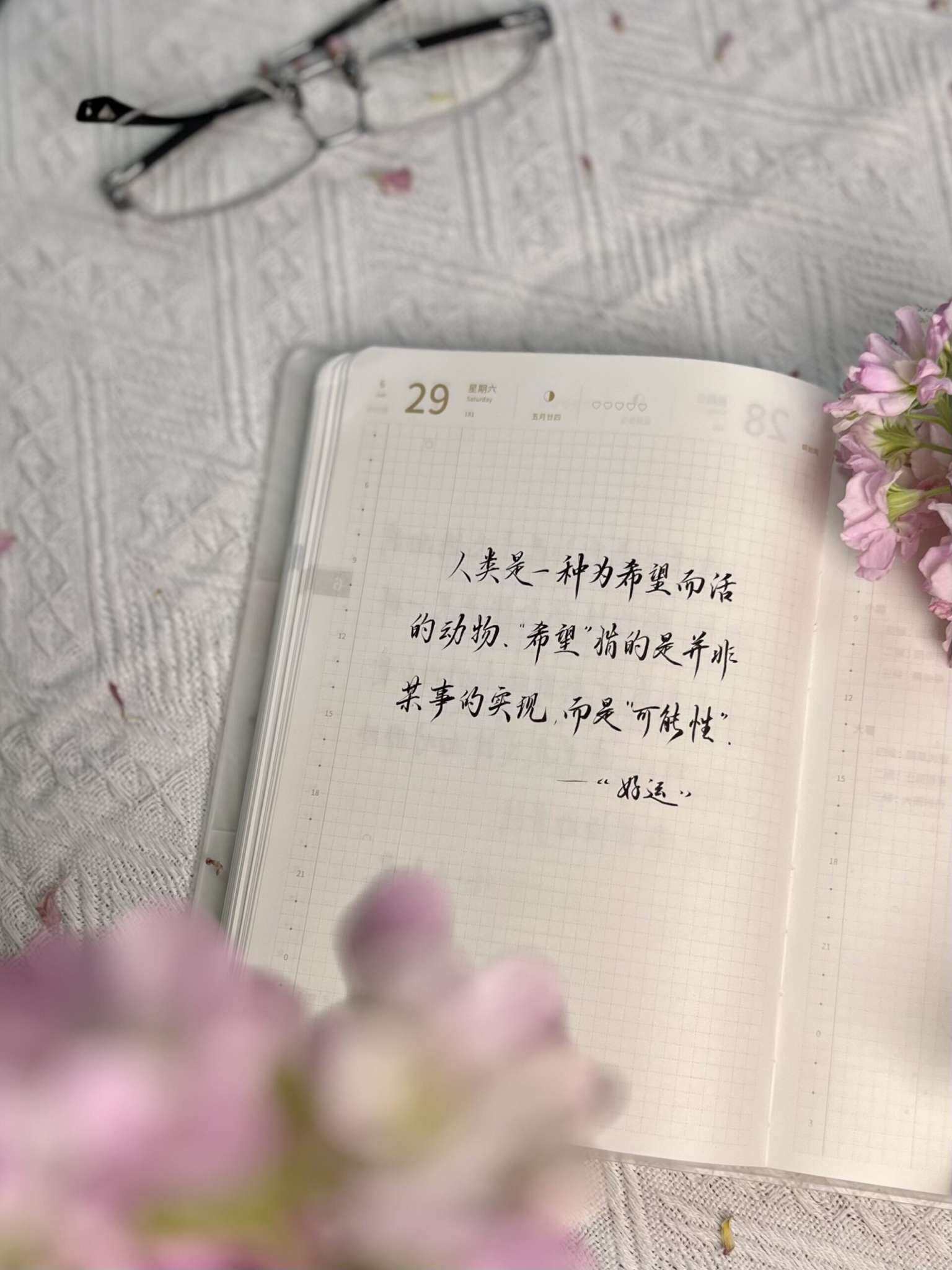 自在手帐2024年6月29日