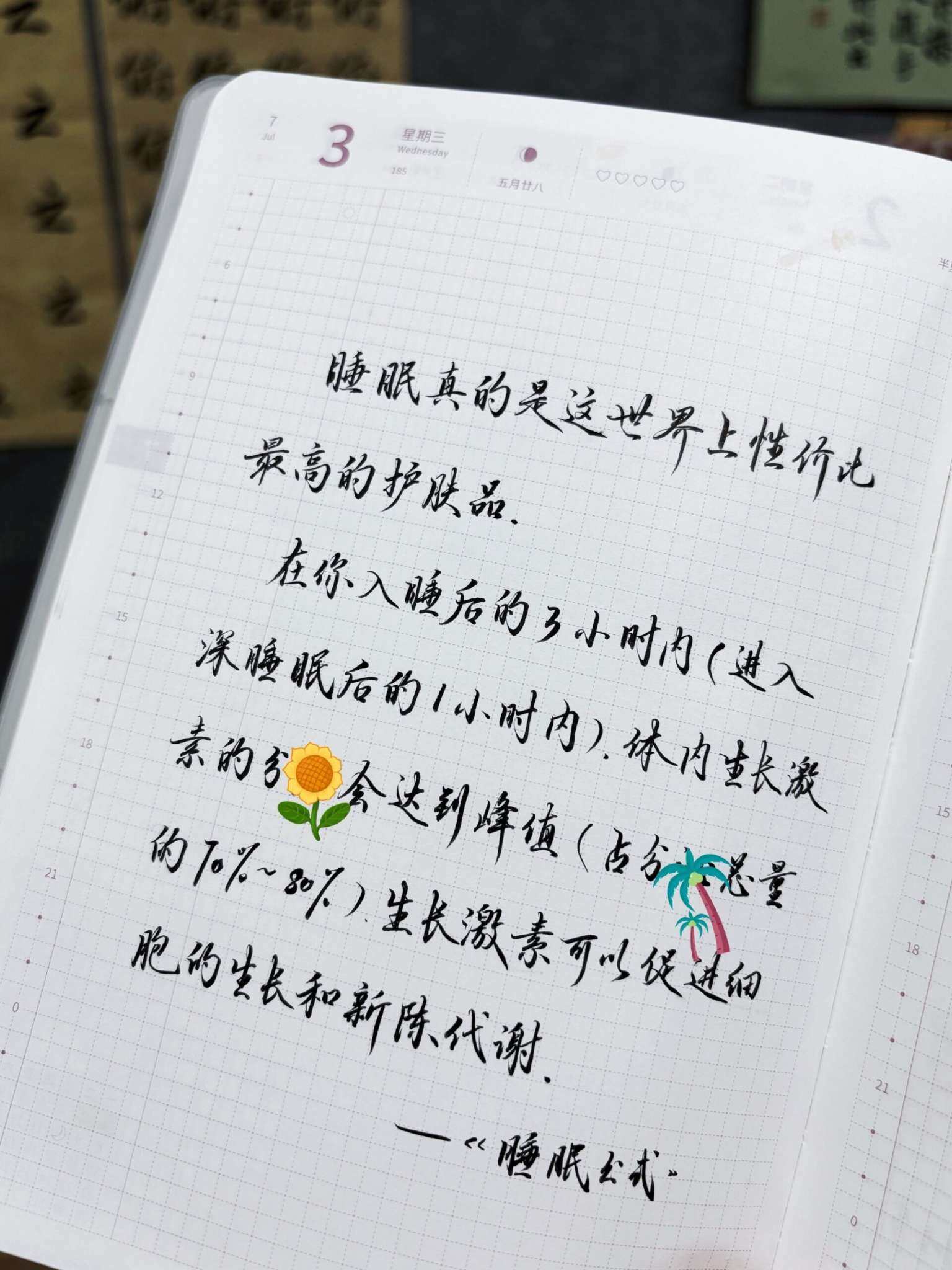 自在手帐2024年7月3日