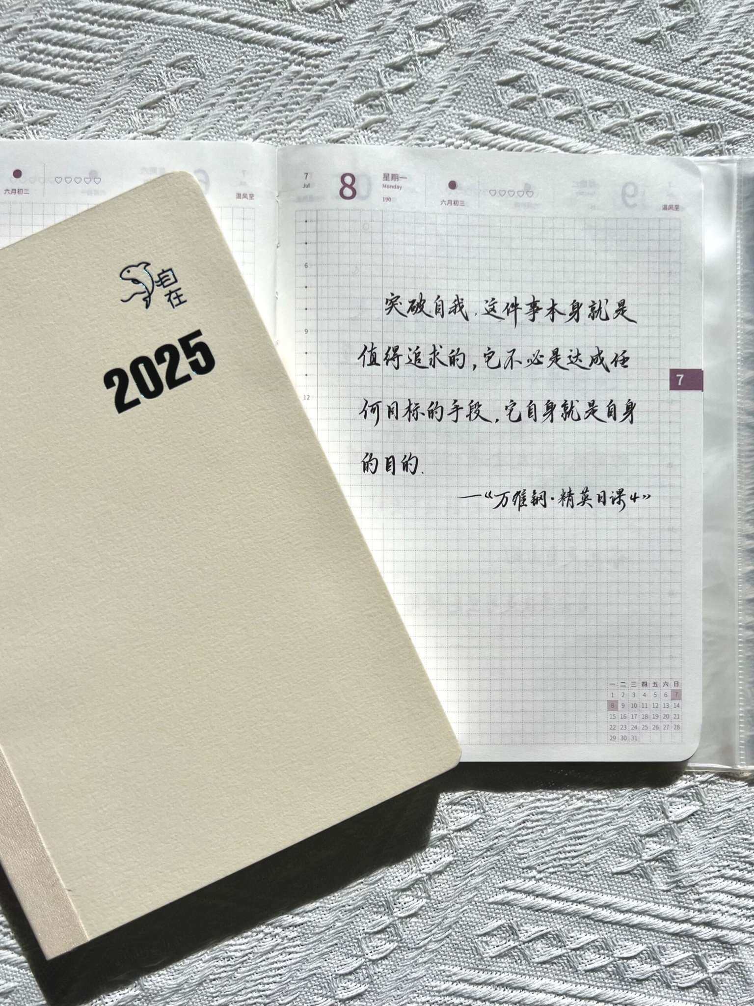 自在手帐22024年7月8日