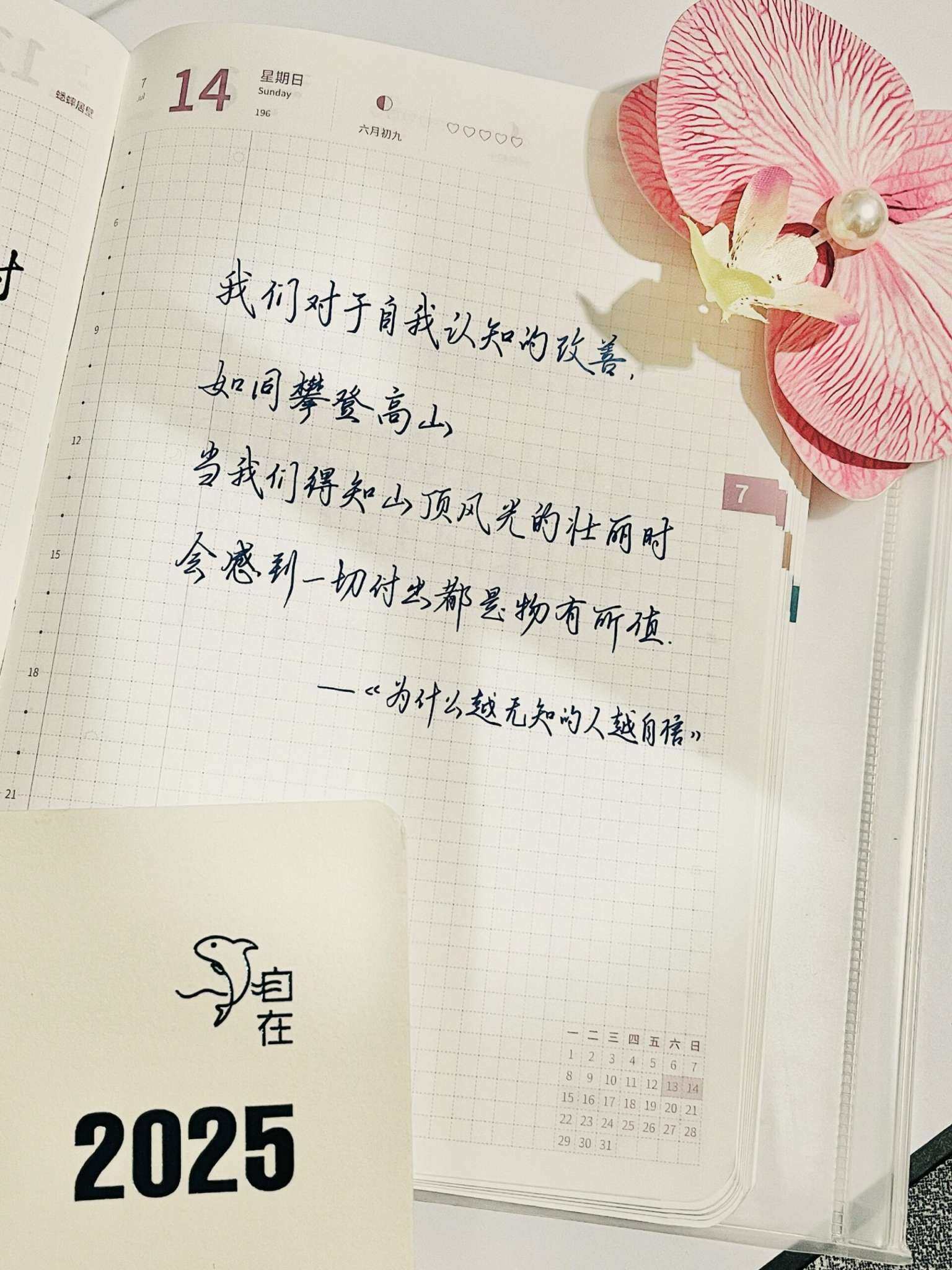 自在手帐2024年7月14日