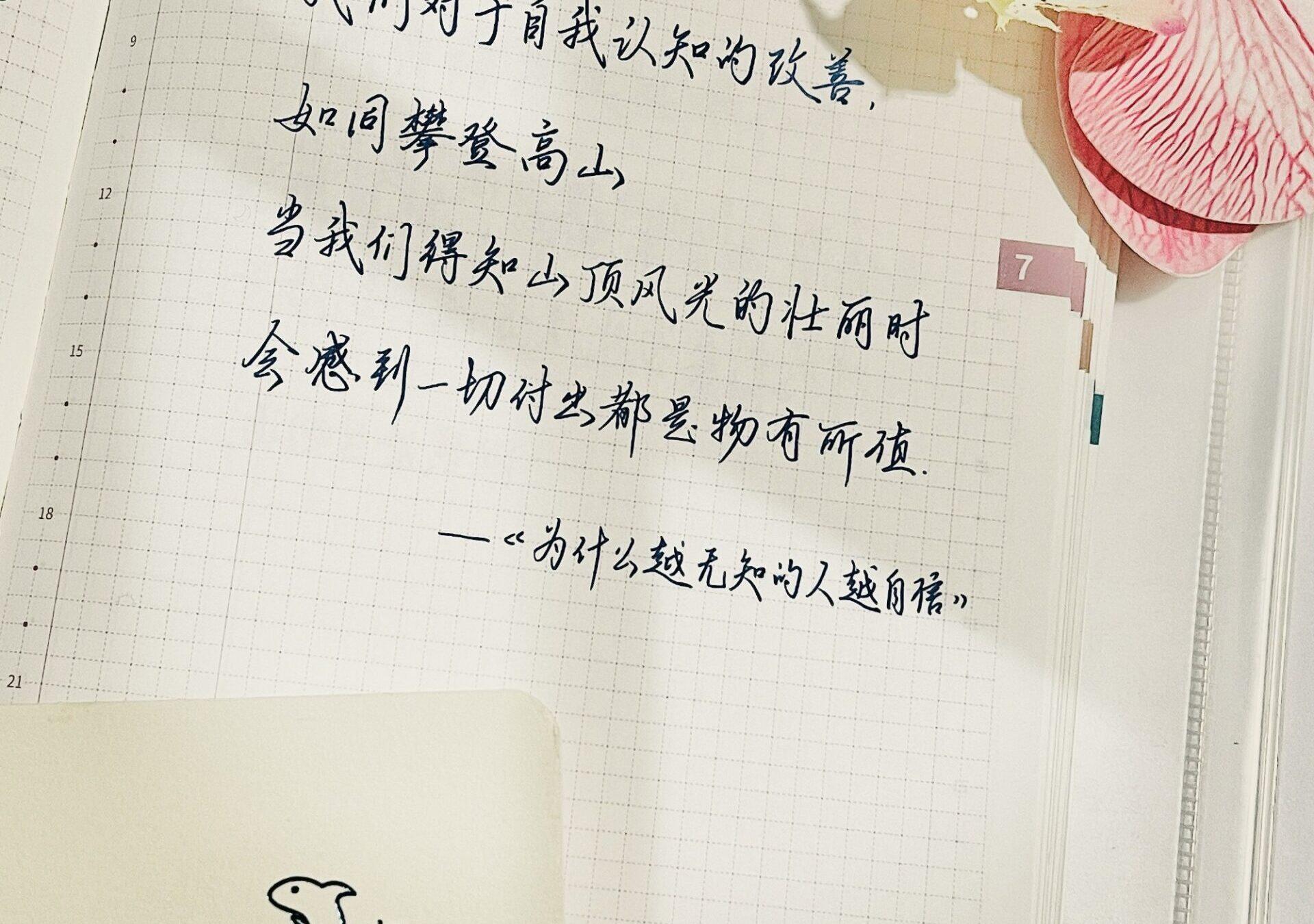 🌸改善自我认知：每一步都是值得的