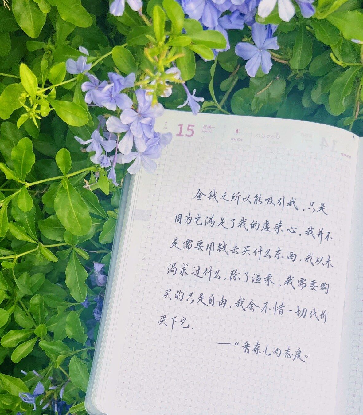 🌿虚荣心的满足：金钱的真正吸引力🌼