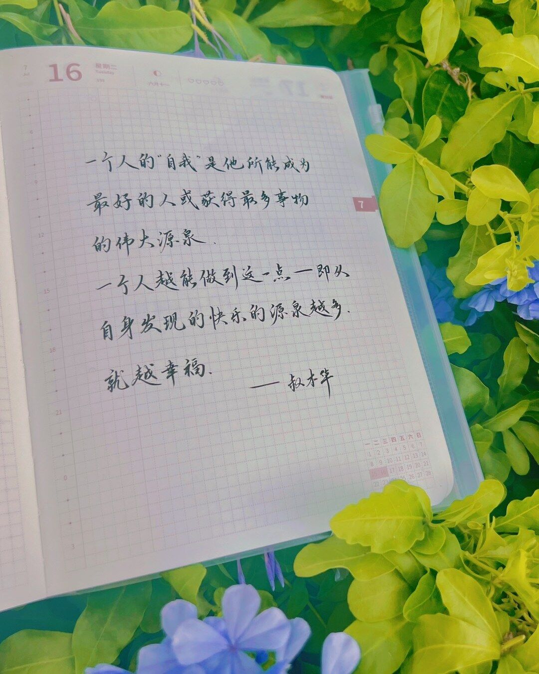 🌸叔本华：自我成就与幸福之道🌿