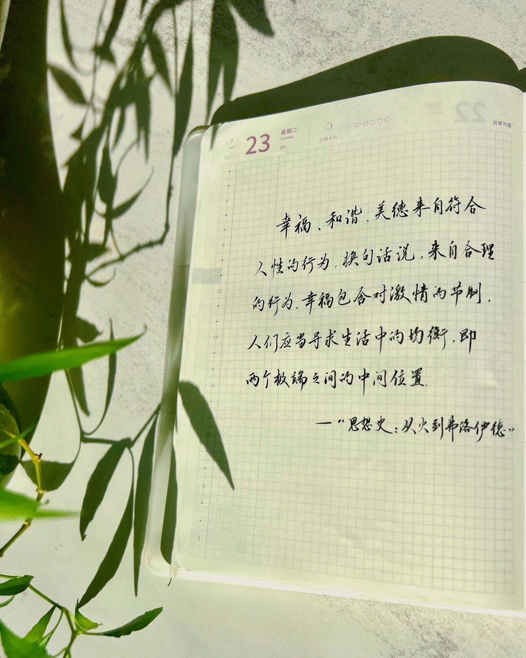 🎯追求均衡：幸福与美德的关键✨