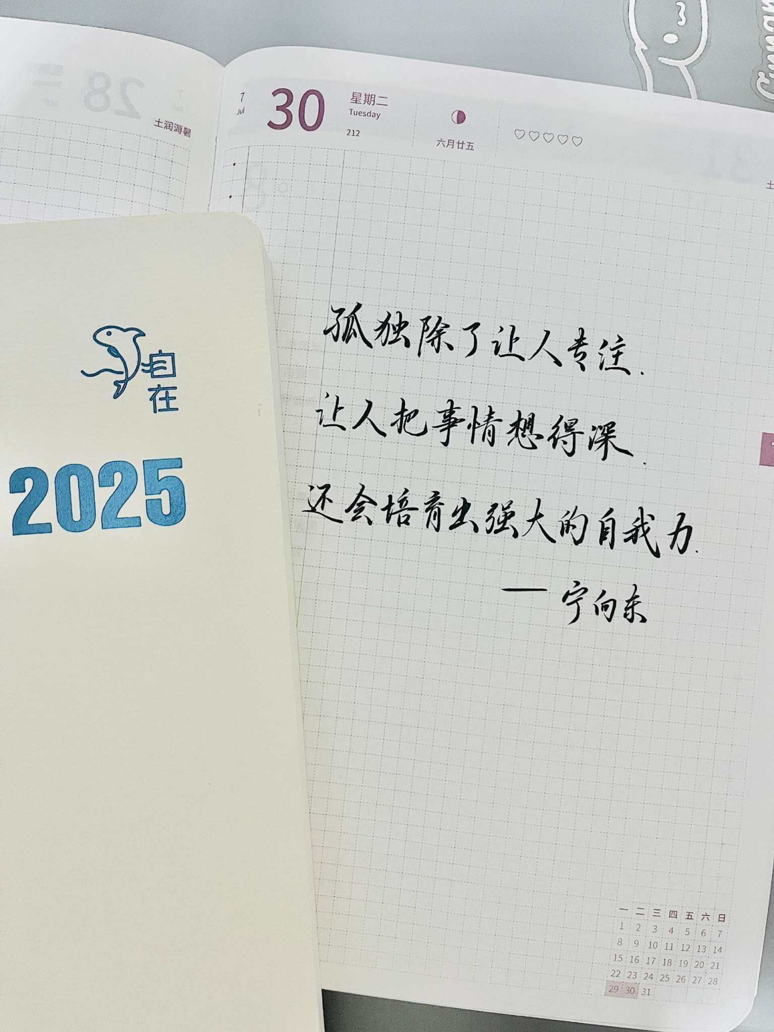 自在手帐2024年7月30日