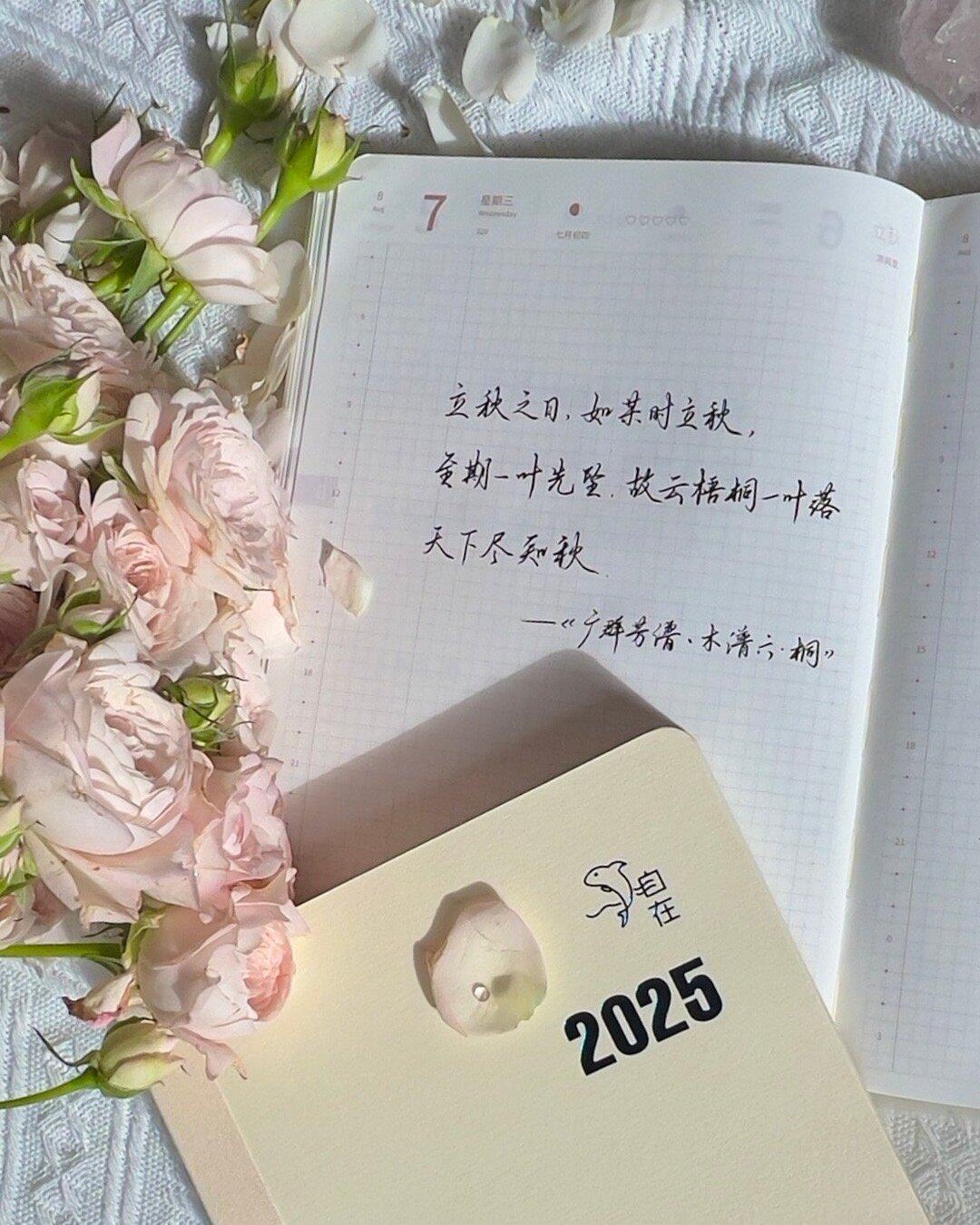 自在手帐2024年8月7日