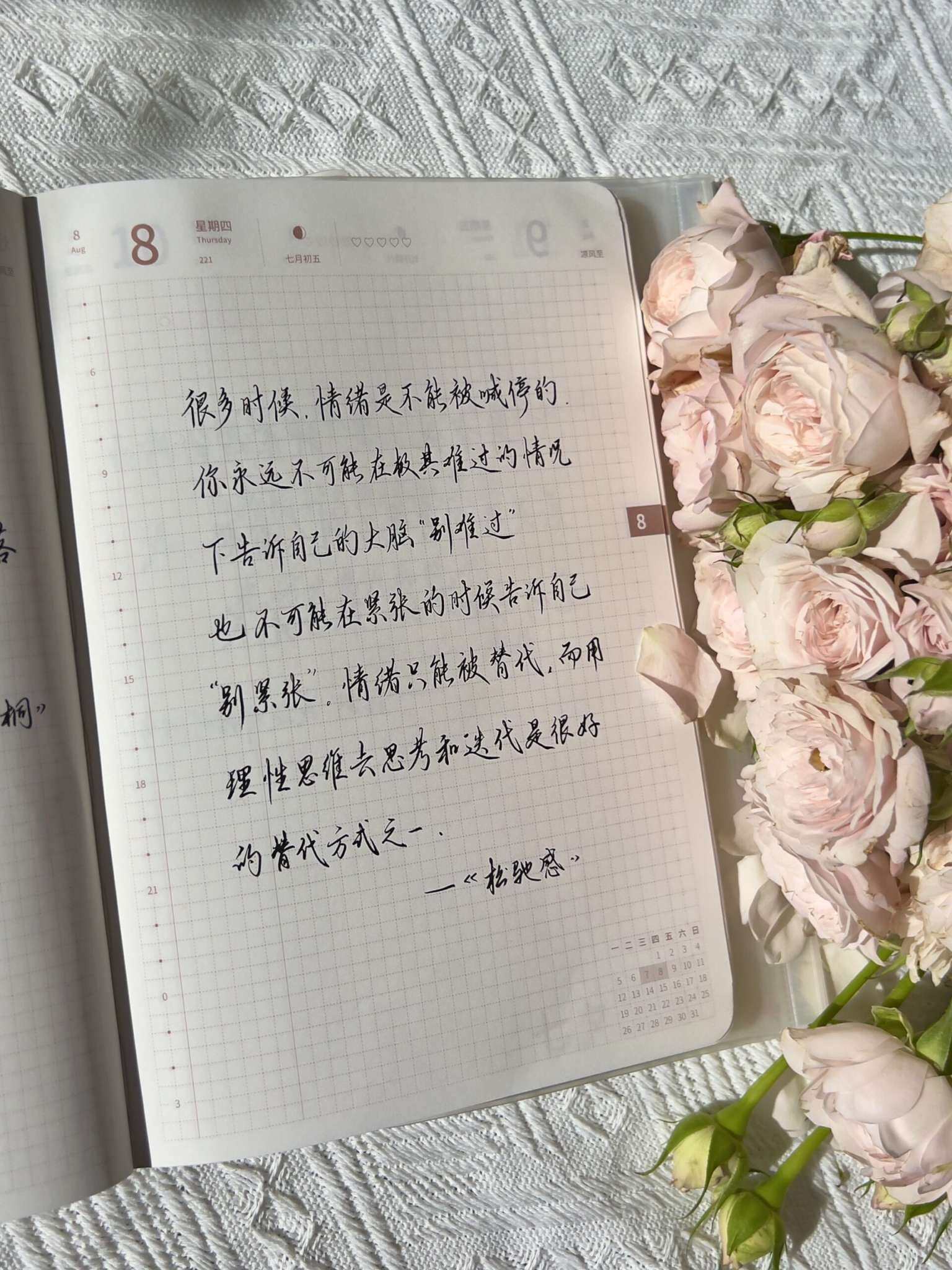 自在手帐2024年8月8日