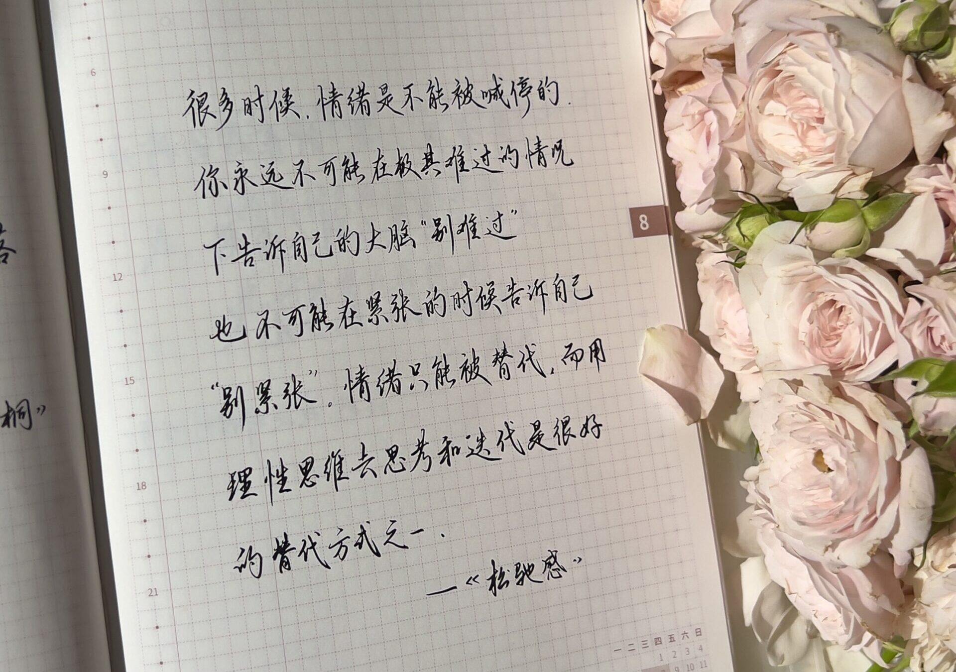 🎯《松弛感》：情绪不可喊停，只能替代🌿