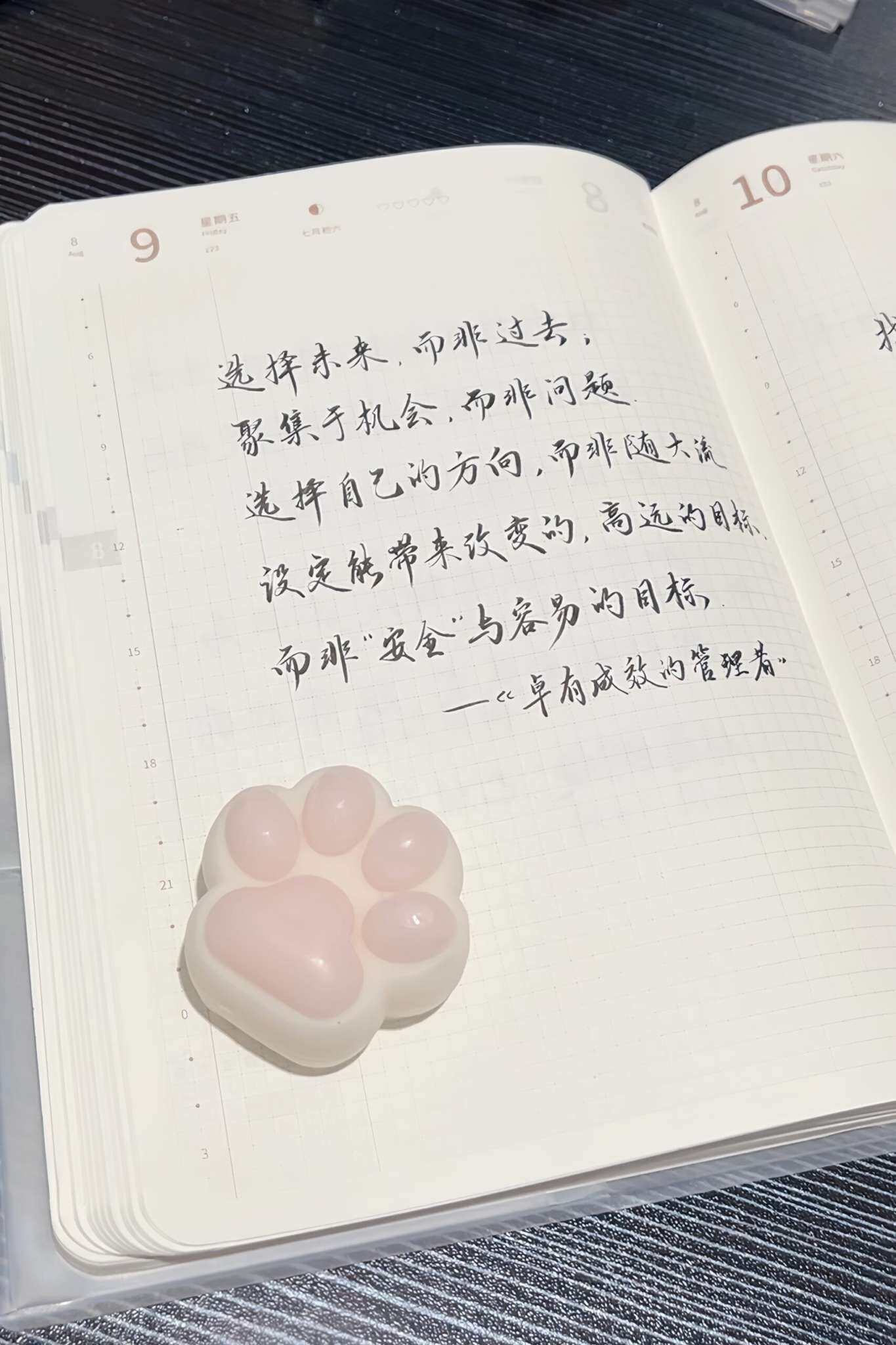 自在手帐2024年8月9日