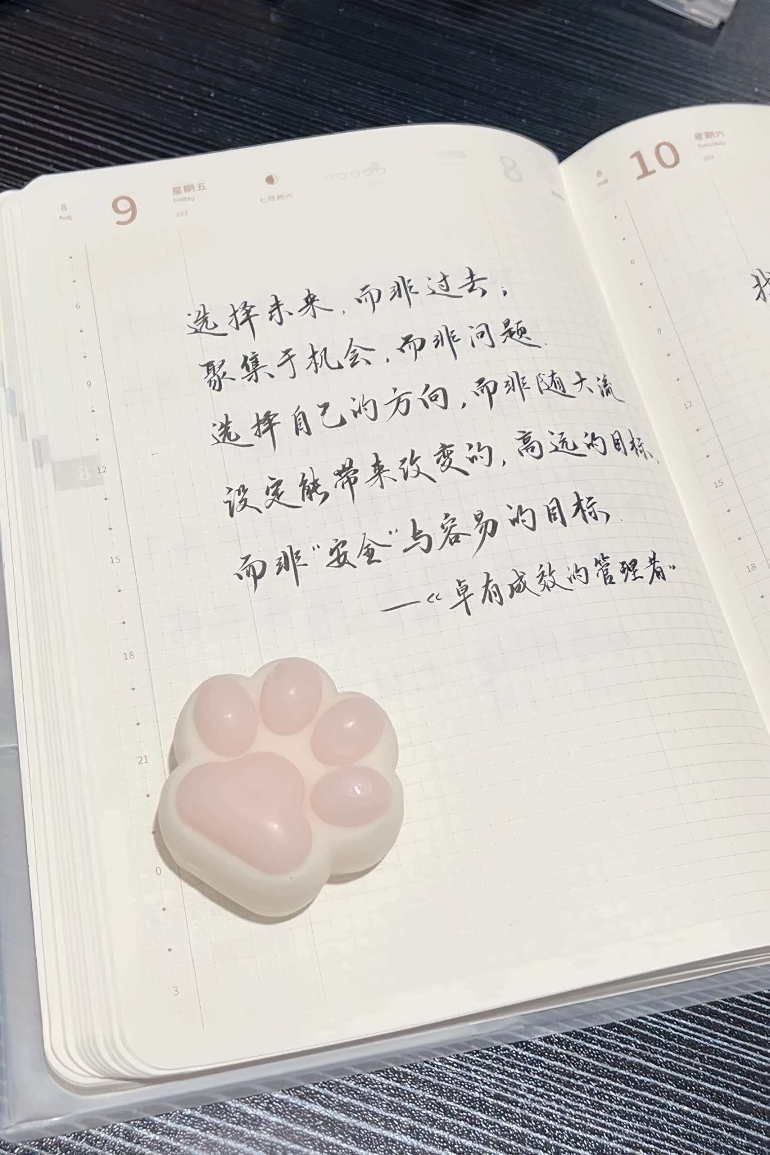 自在手帐2024年8月9日