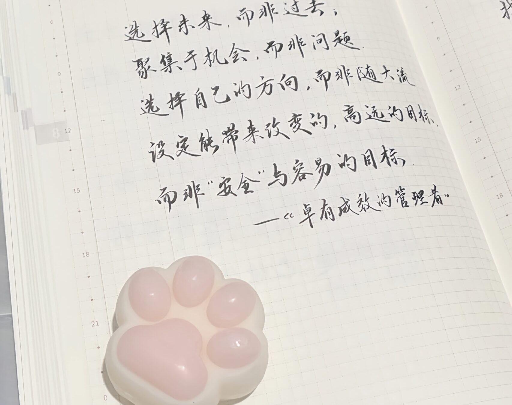 🌱把握未来：专注机会，迈向成功之路🌈