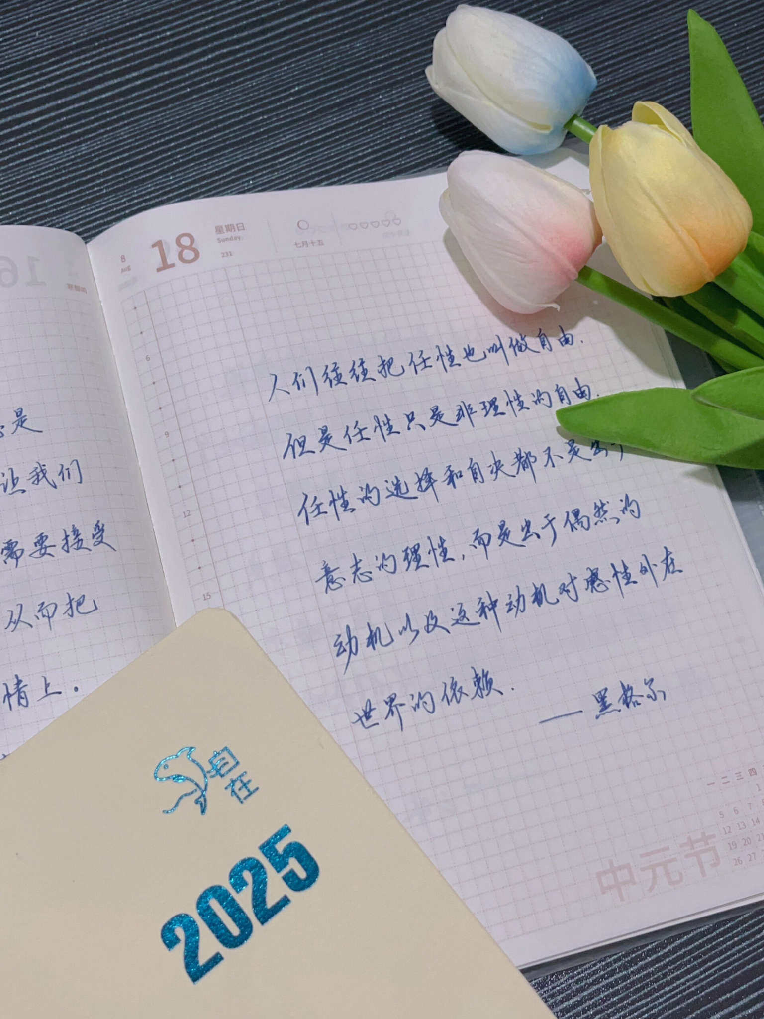自在手帐2024年8月18日