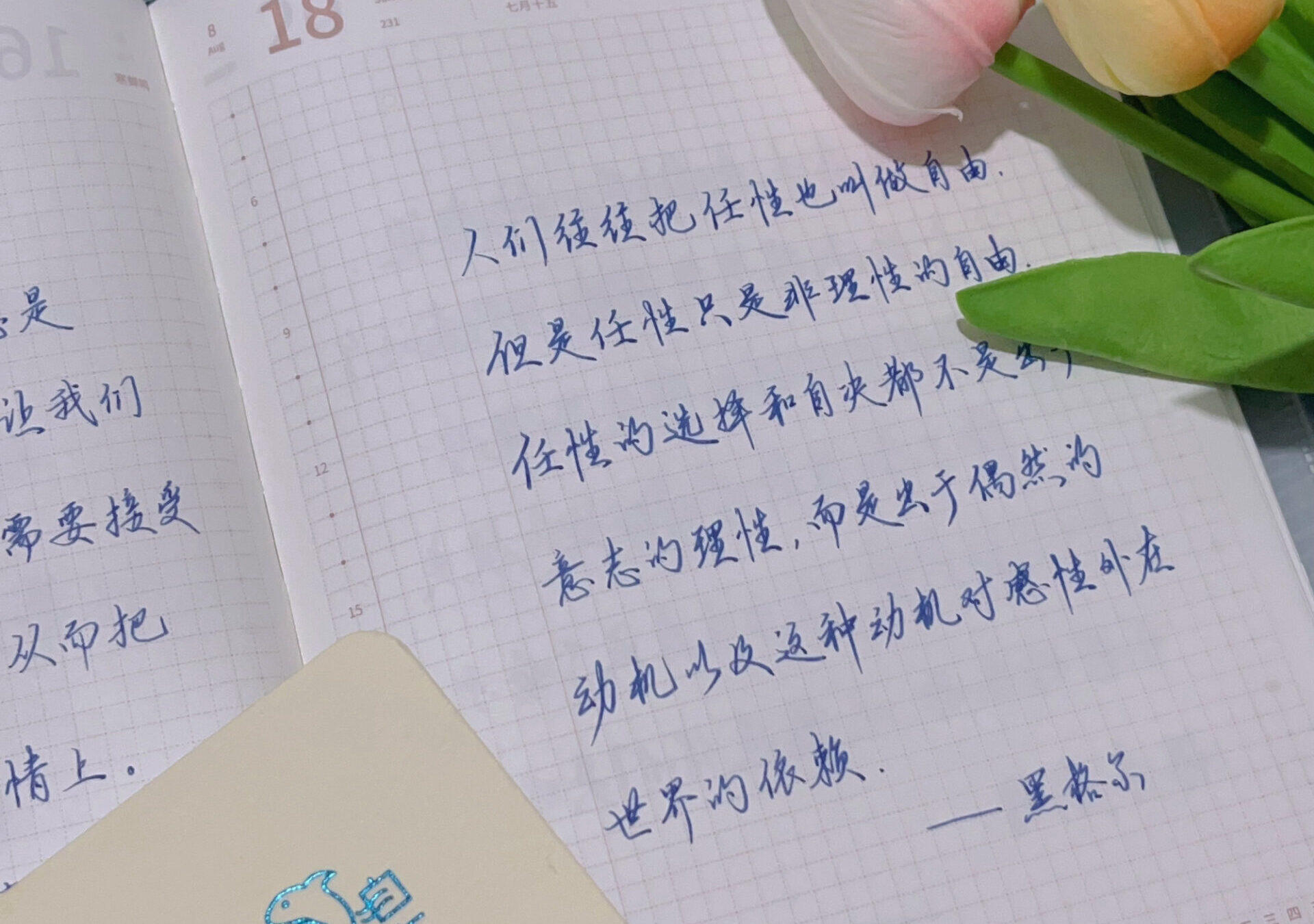 停止任性！理性才是自由的真谛！✋