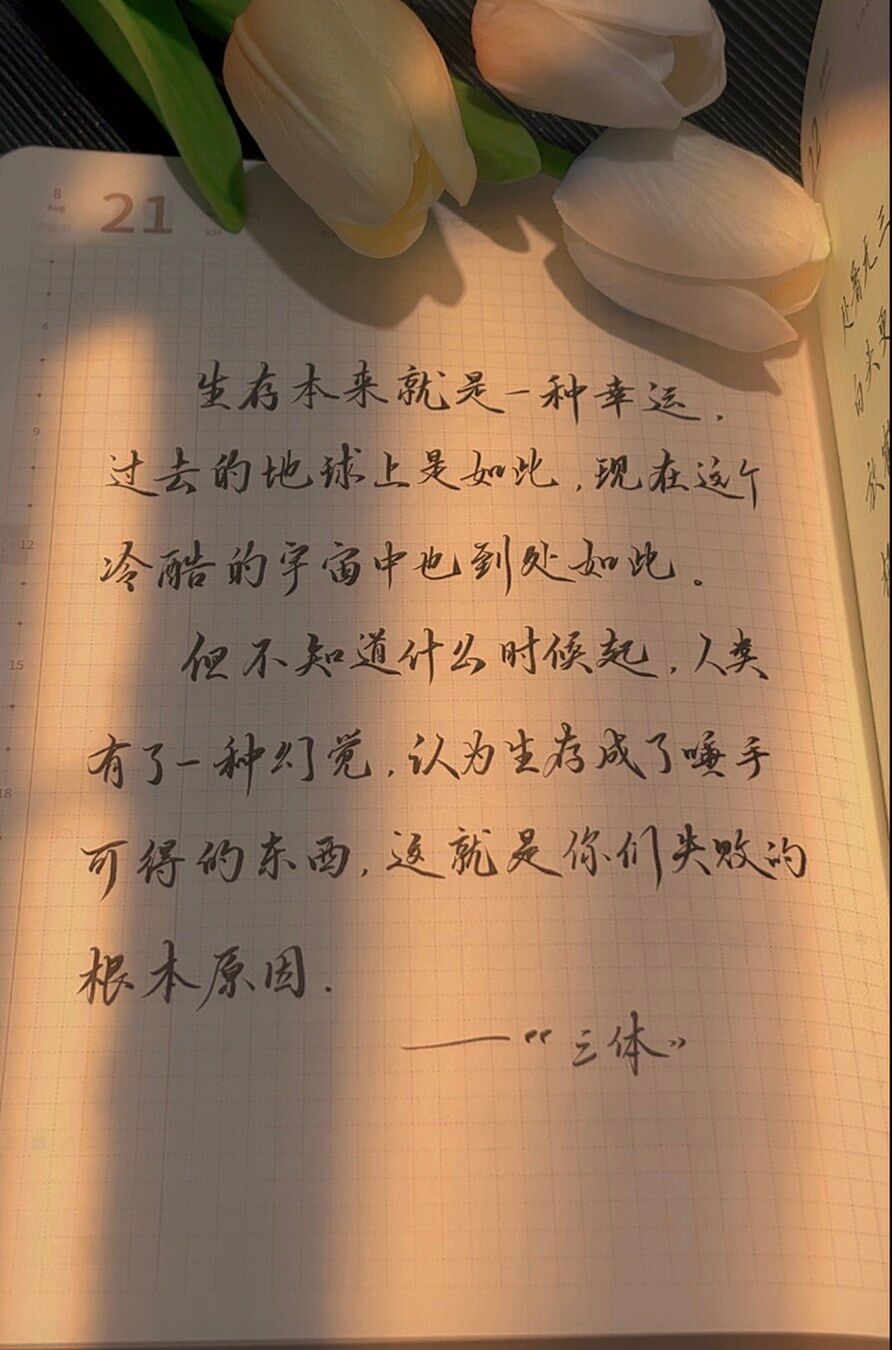 别再自以为是！生存是这个冷酷宇宙的奢侈品！🌠