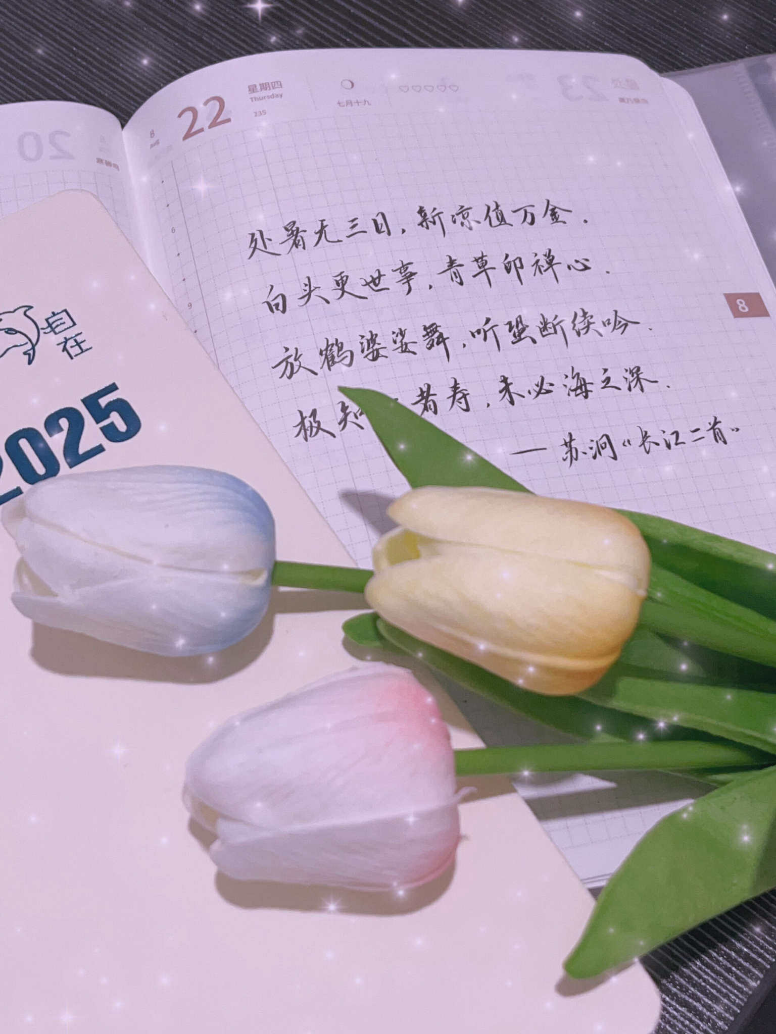 自在手帐2024年8月22日
