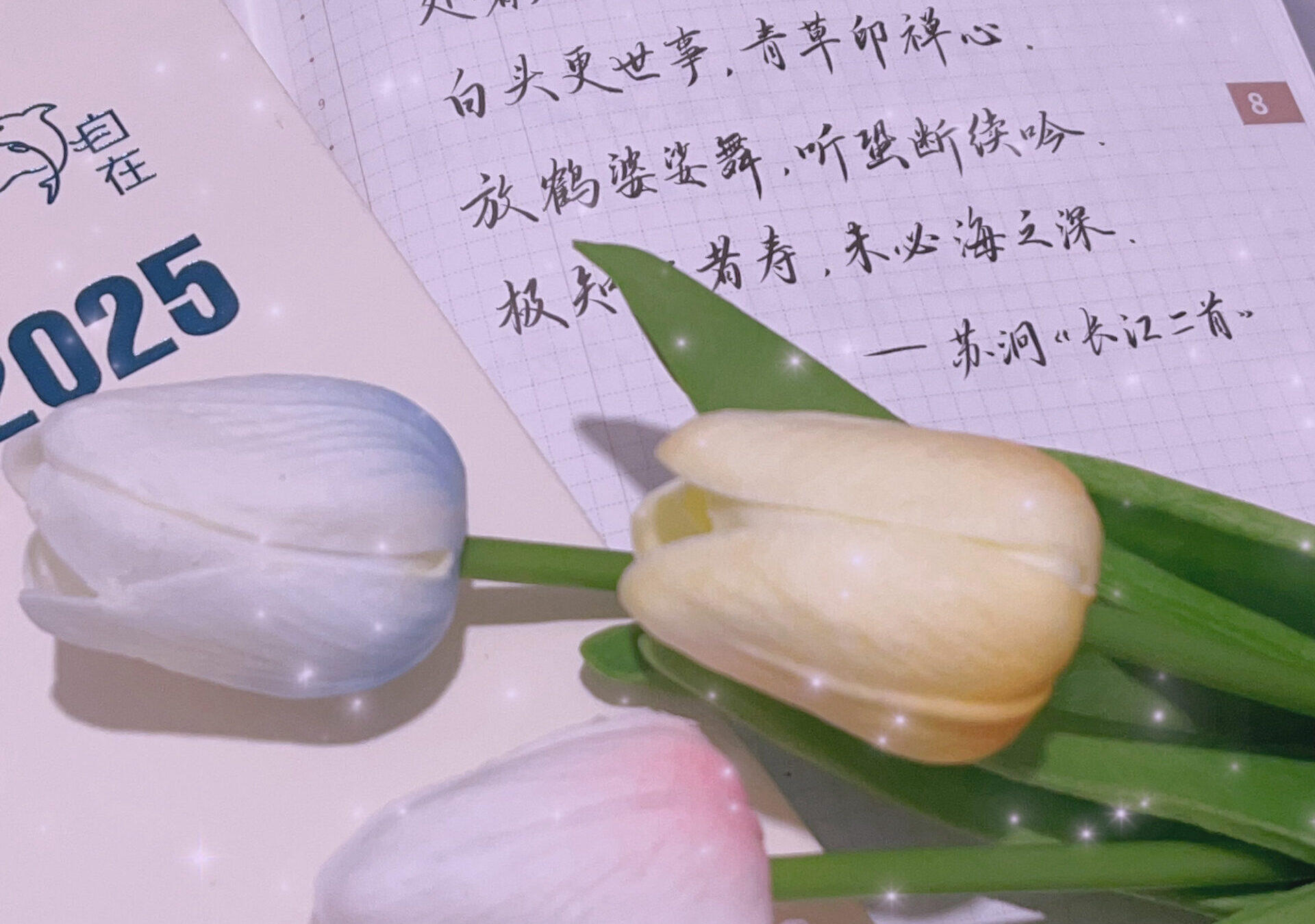 处暑|二十四节气|甲辰年